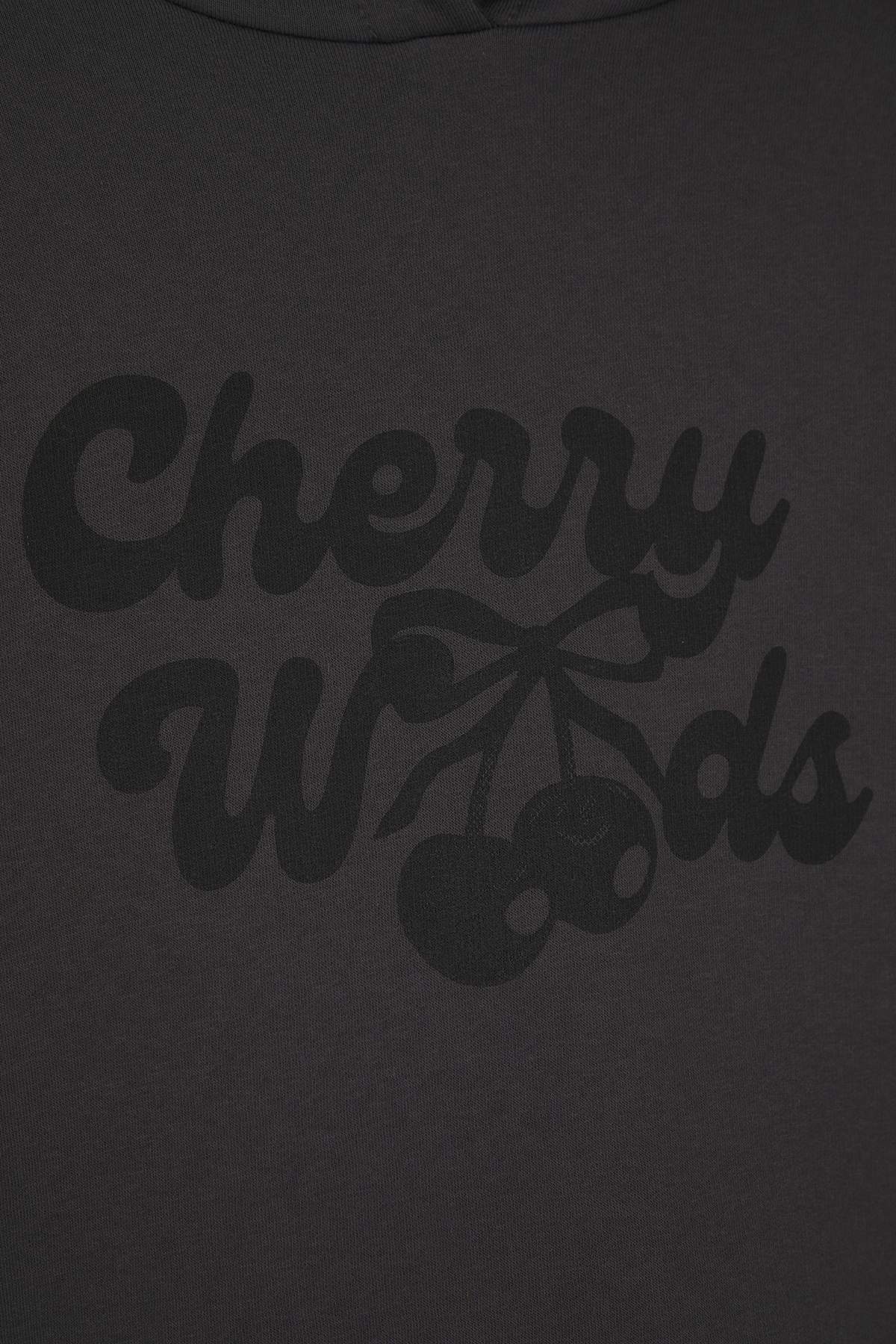 Trendyolmilla  Antrasit Oversize/Geniş Kalıp Kiraz Sırt Baskılı Kalın İçi Polarlı Örme Sweatshirt TWOAW26SW00019 - Görsel 7