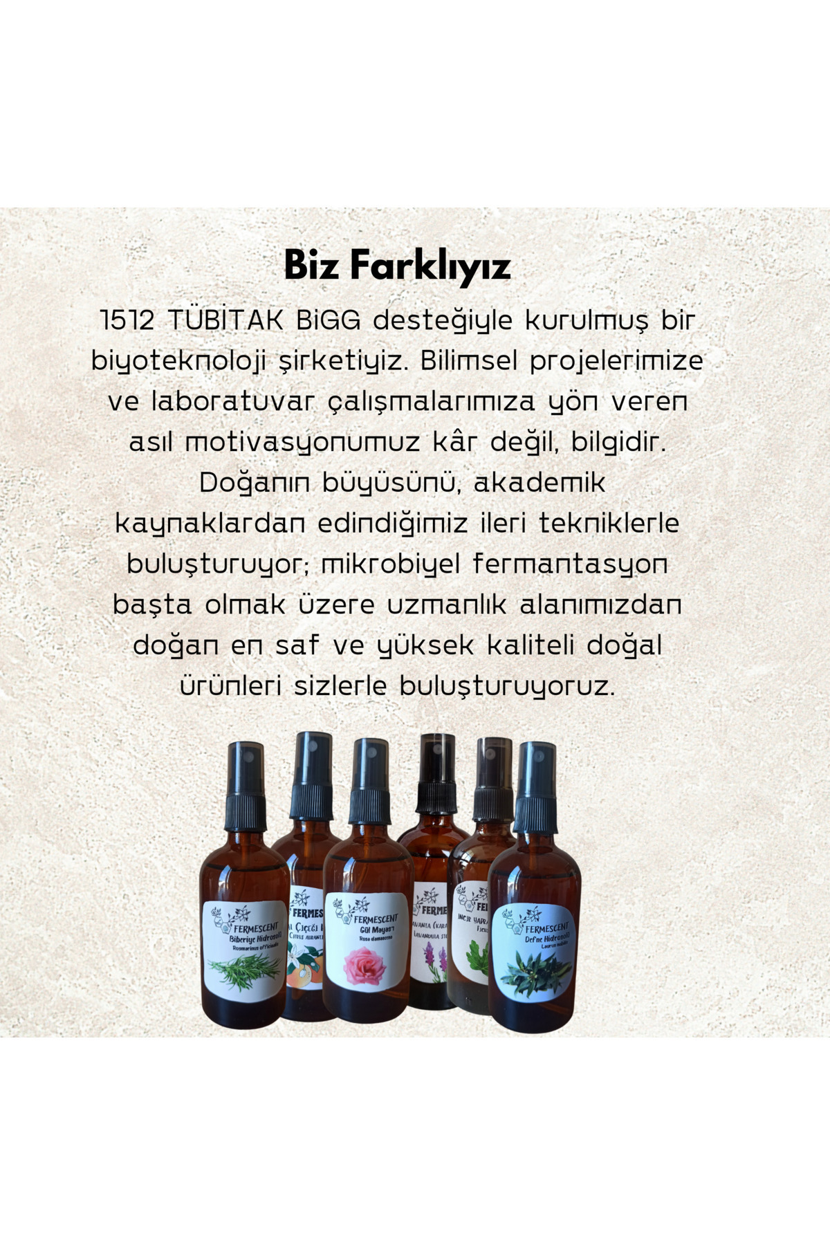 Damla Sakızı Yaprağı Hidrosol Cilt Canlandırıcı Doğal Tonik 100 ml — SakızHidrosolü — تصویر 3 از 5