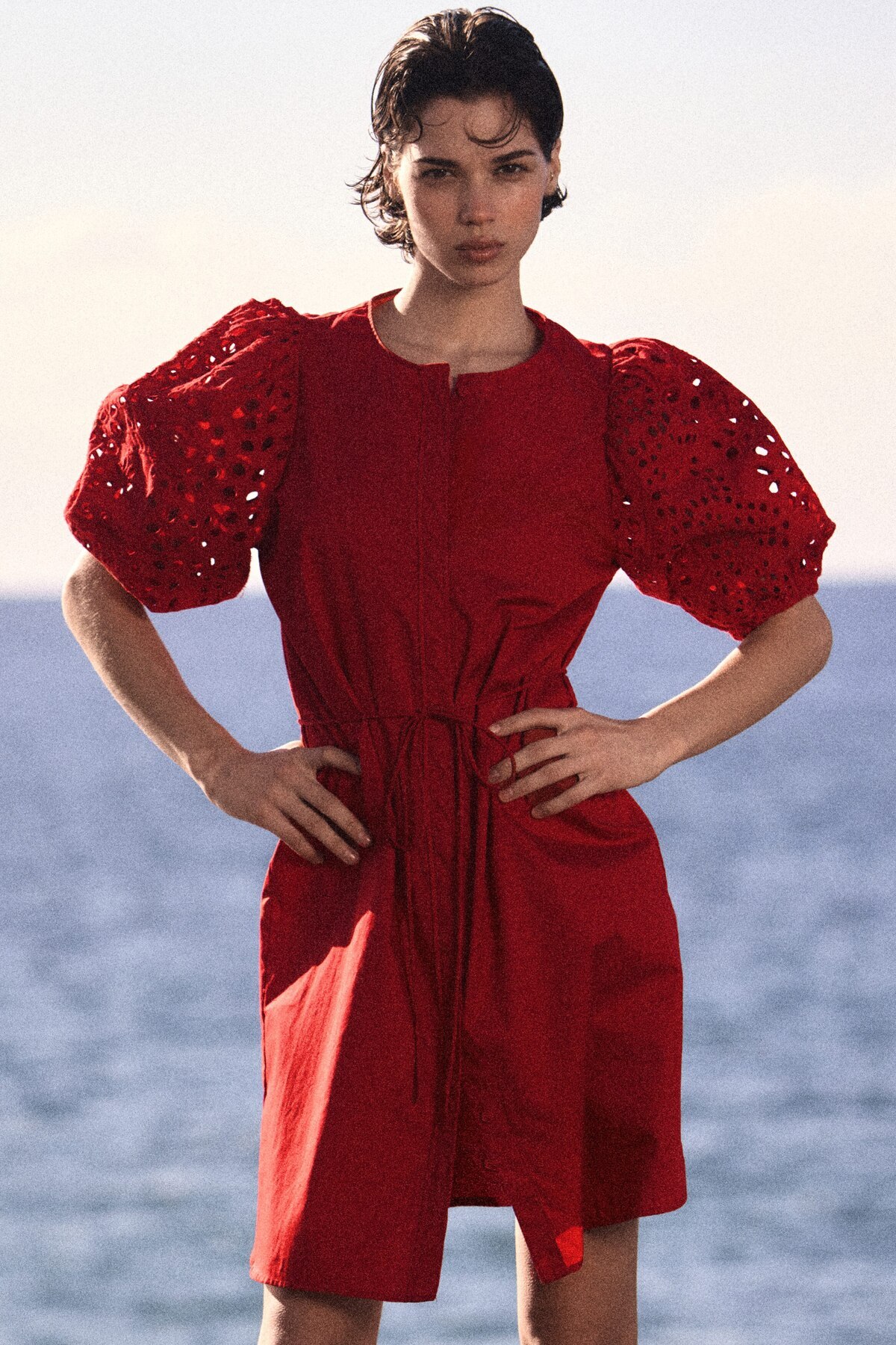 پیراهن آستین‌دار گلدوزی شده H&M