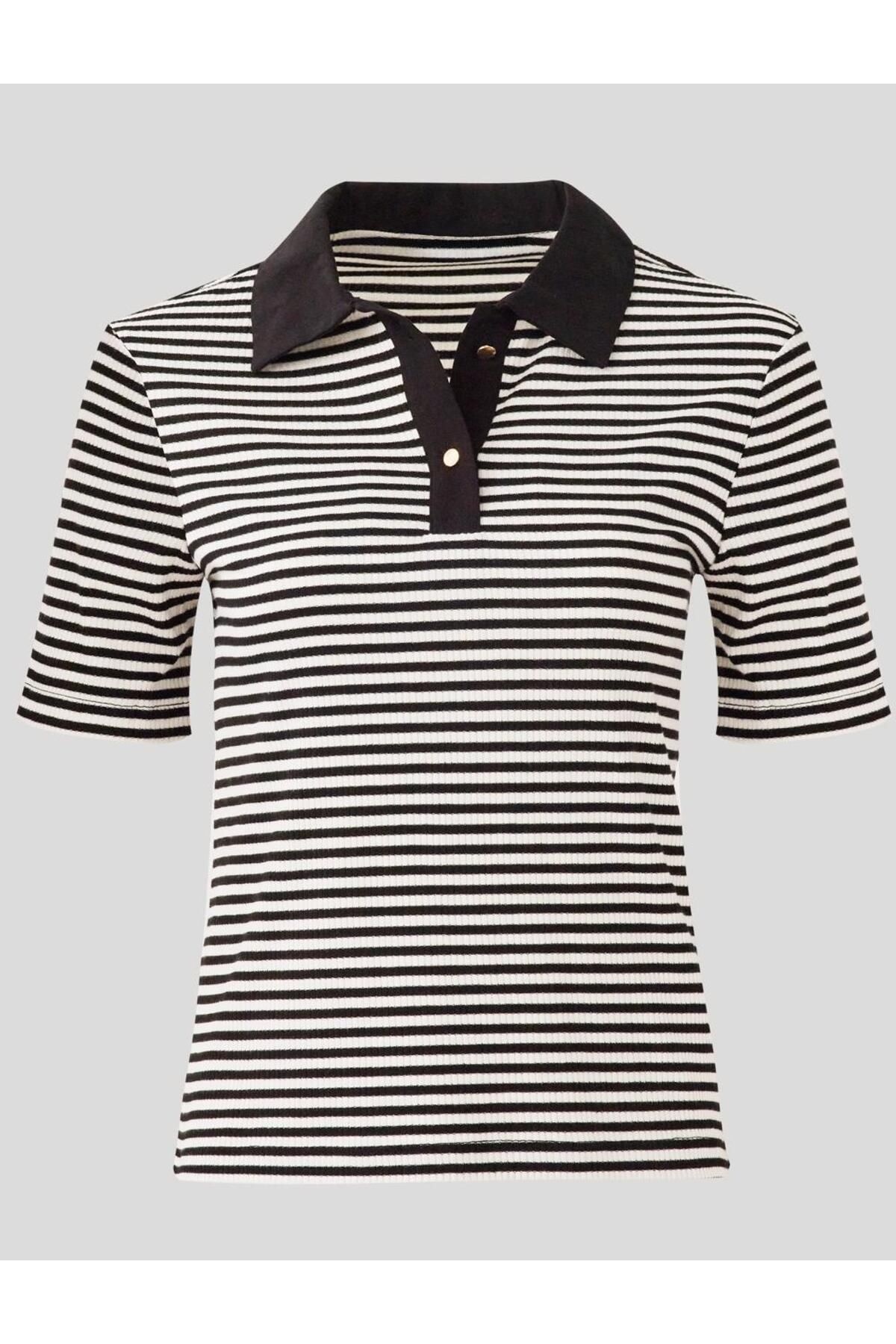 Jimmy Key-Black Polo Neck Short Sleeve Stripe Patterned Knitted Blouse 6