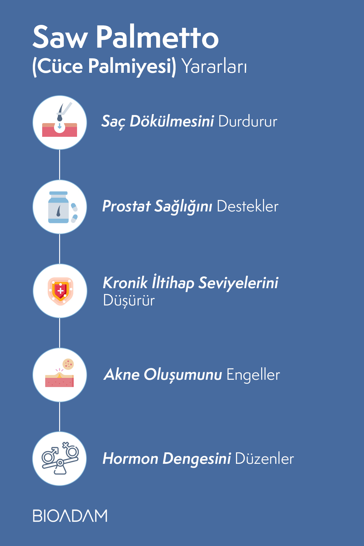 Saw Palmetto Saç Dökülmesine Karşı Vitamin ve Saç Oluşumunu Destekleyen Hyaluronik Asitli Sprey — 13579023 — تصویر 5 از 6