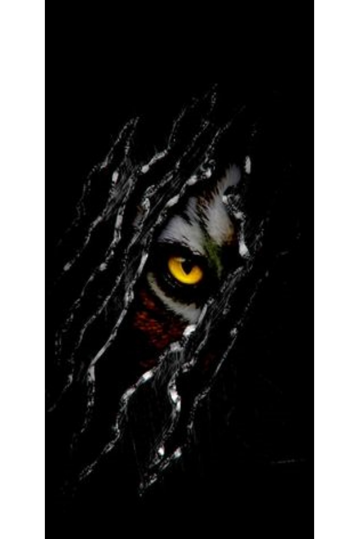 Atlas-LG XPower 2 Custom Case Tiger Eyes 2 1