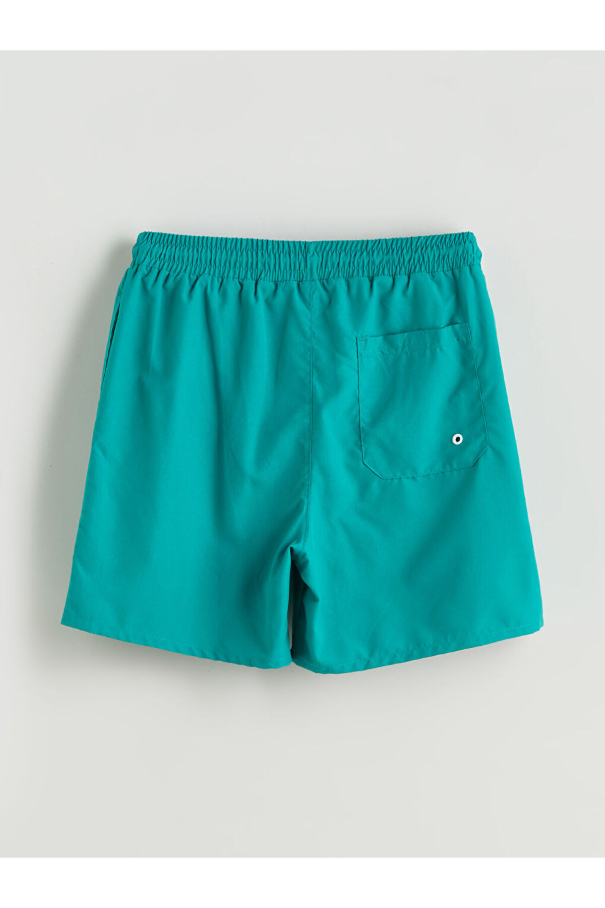 LC Waikiki-Sparkling Selections from Shining Store |   Short Length Printed Men's Swim Shorts 6