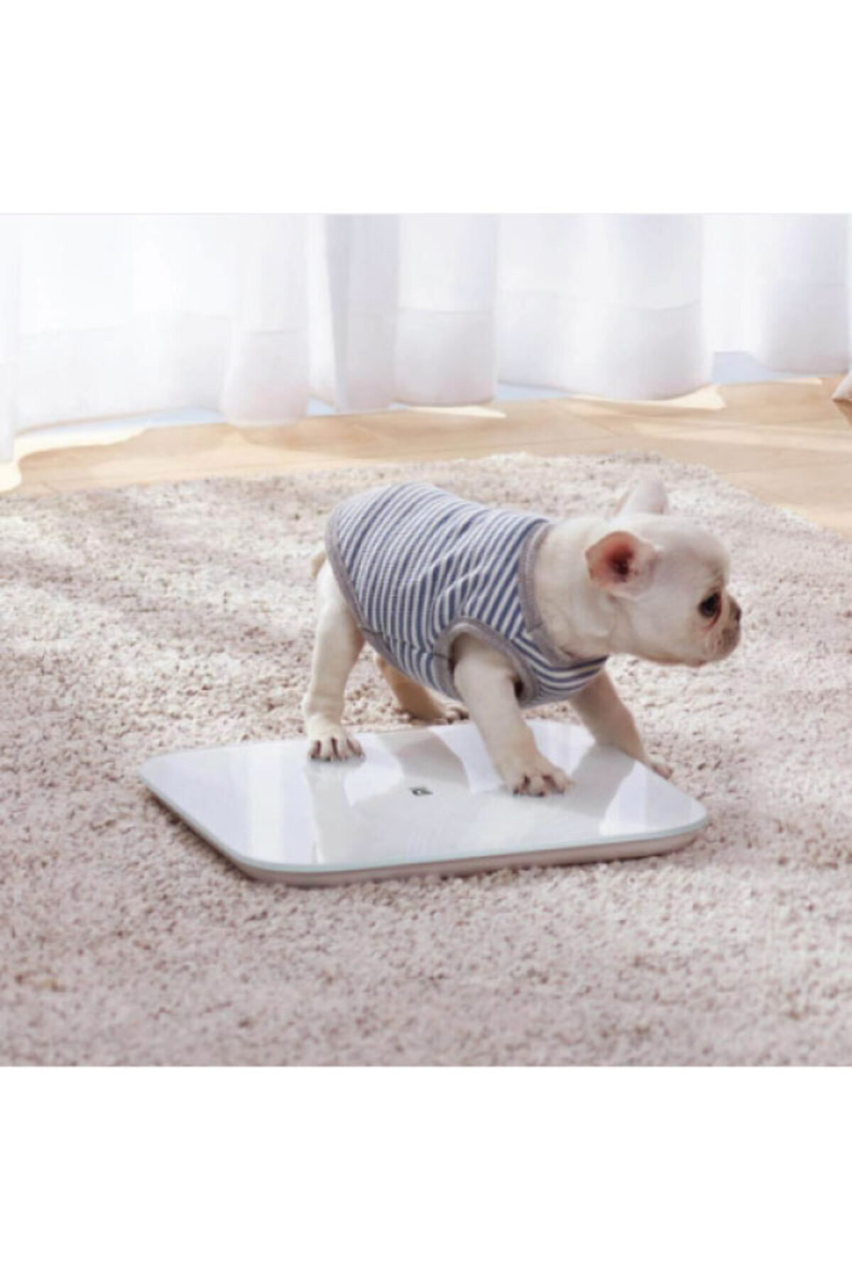 Xiaomi-Mi Scale 2 High Precision with Dual-Mode Pressure Sensor for Weighing People and Objects 5