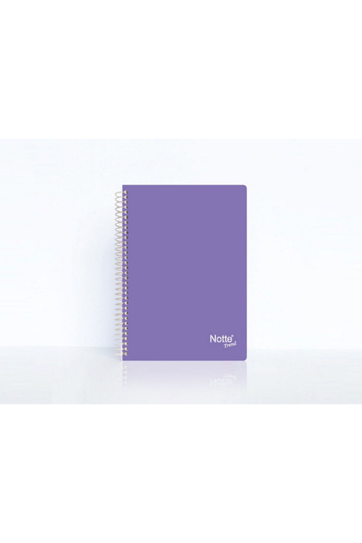 Notte-Trend Notebook A4 PP cover with spiral 80 sheets dictando 2