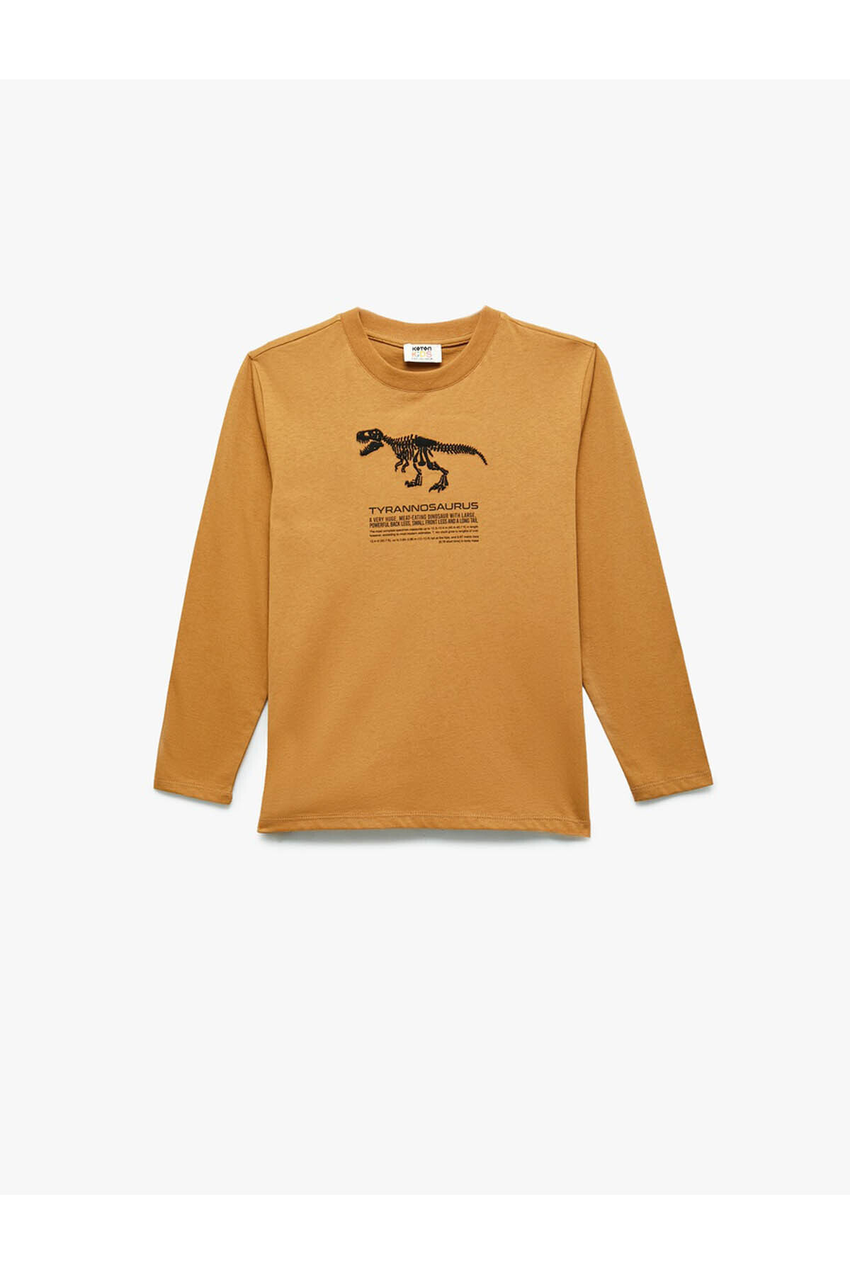 سویشرت  EY59GY112573