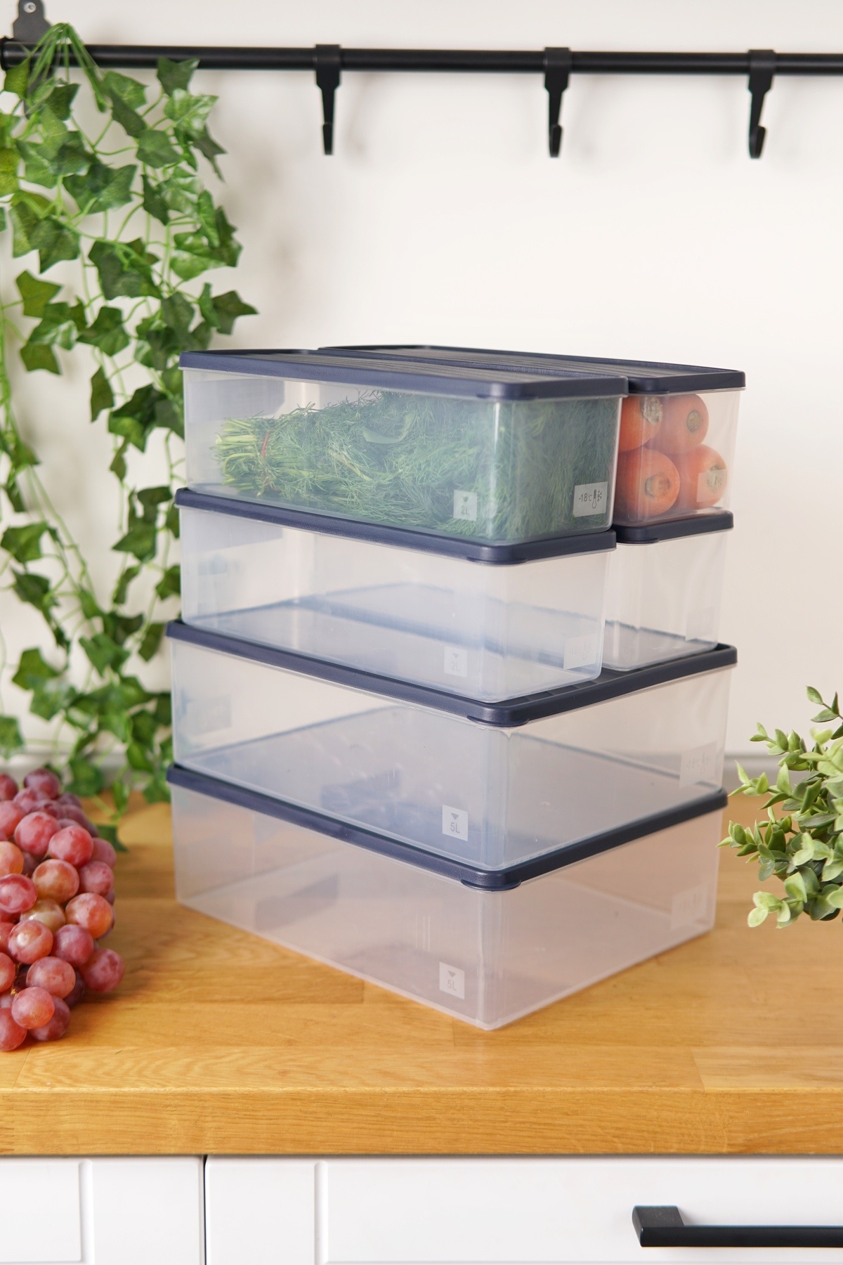 EVLE-Deep Freezer Storage Container Set of 6 (2 X 5 Lt + 4 X 2 Lt), Blue 1