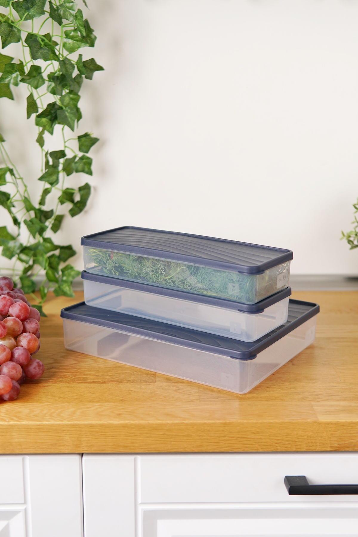 EVLE-Deep Freezer Storage Container Set of 3 (3 Lt + 2 X 2 Lt), Blue 2