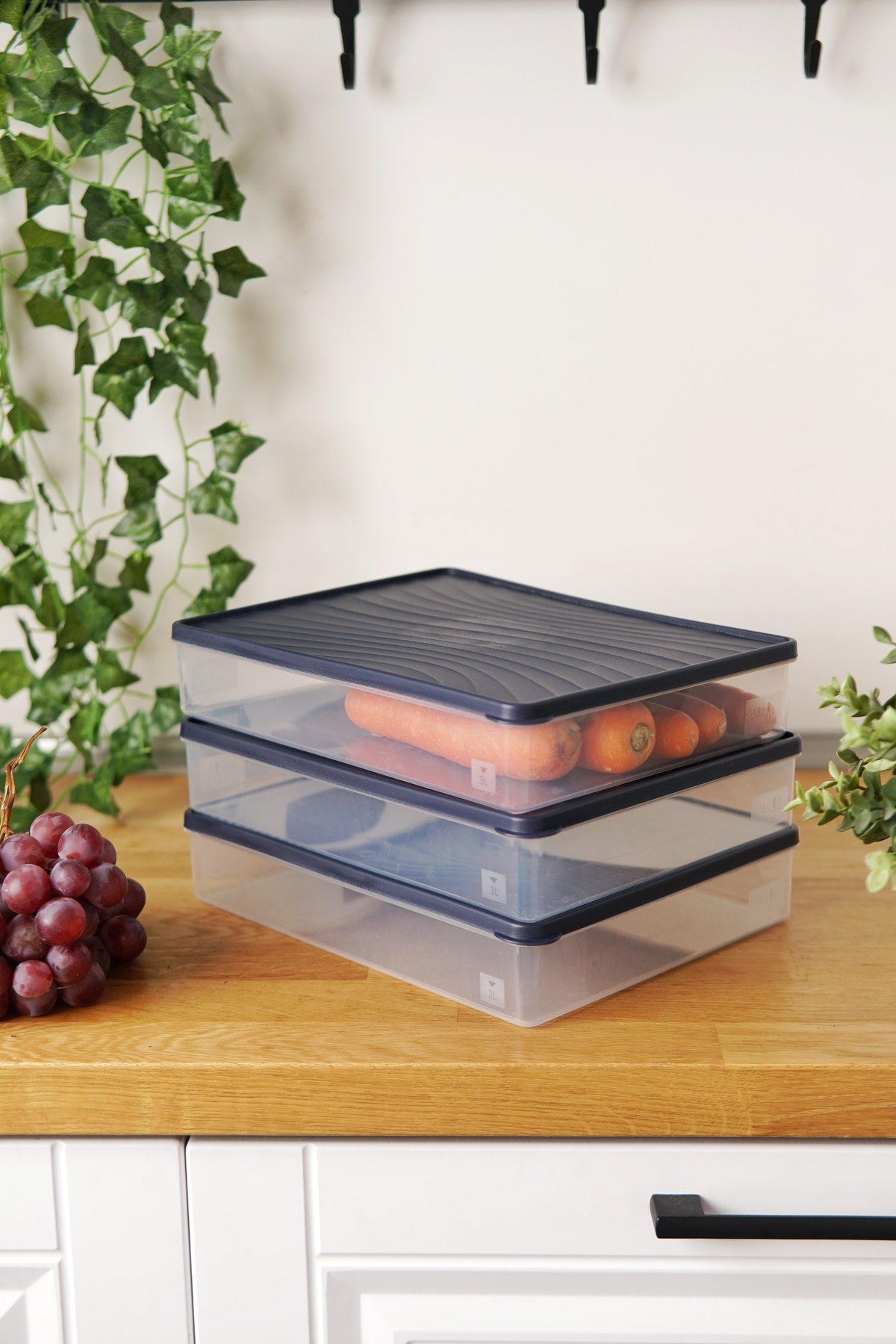 EVLE-Deep Freezer Storage Container Set of 3 (3 X 3 Lt), Blue 2