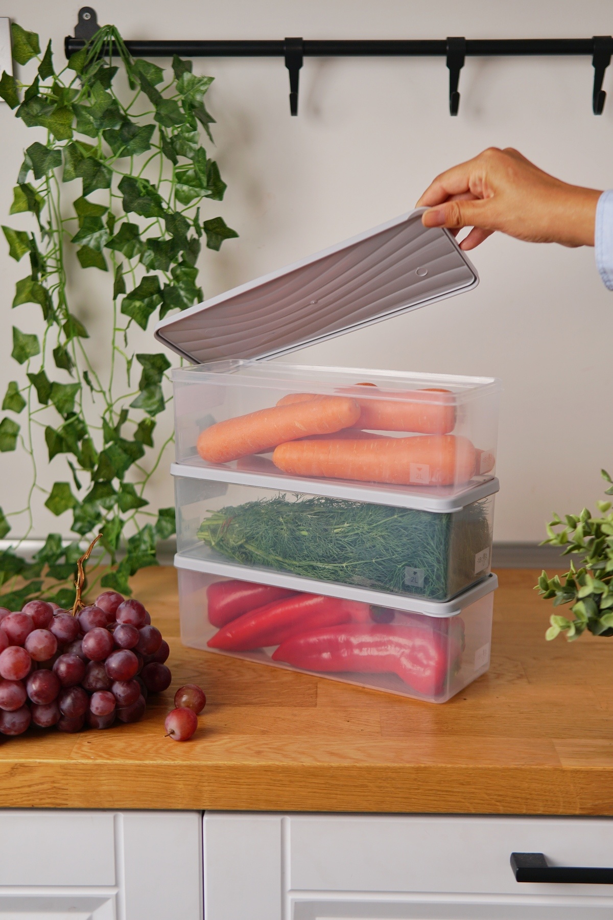 EVLE-Deep Freezer Storage Container Set of 3 (3 X 2 Lt), Gray 3