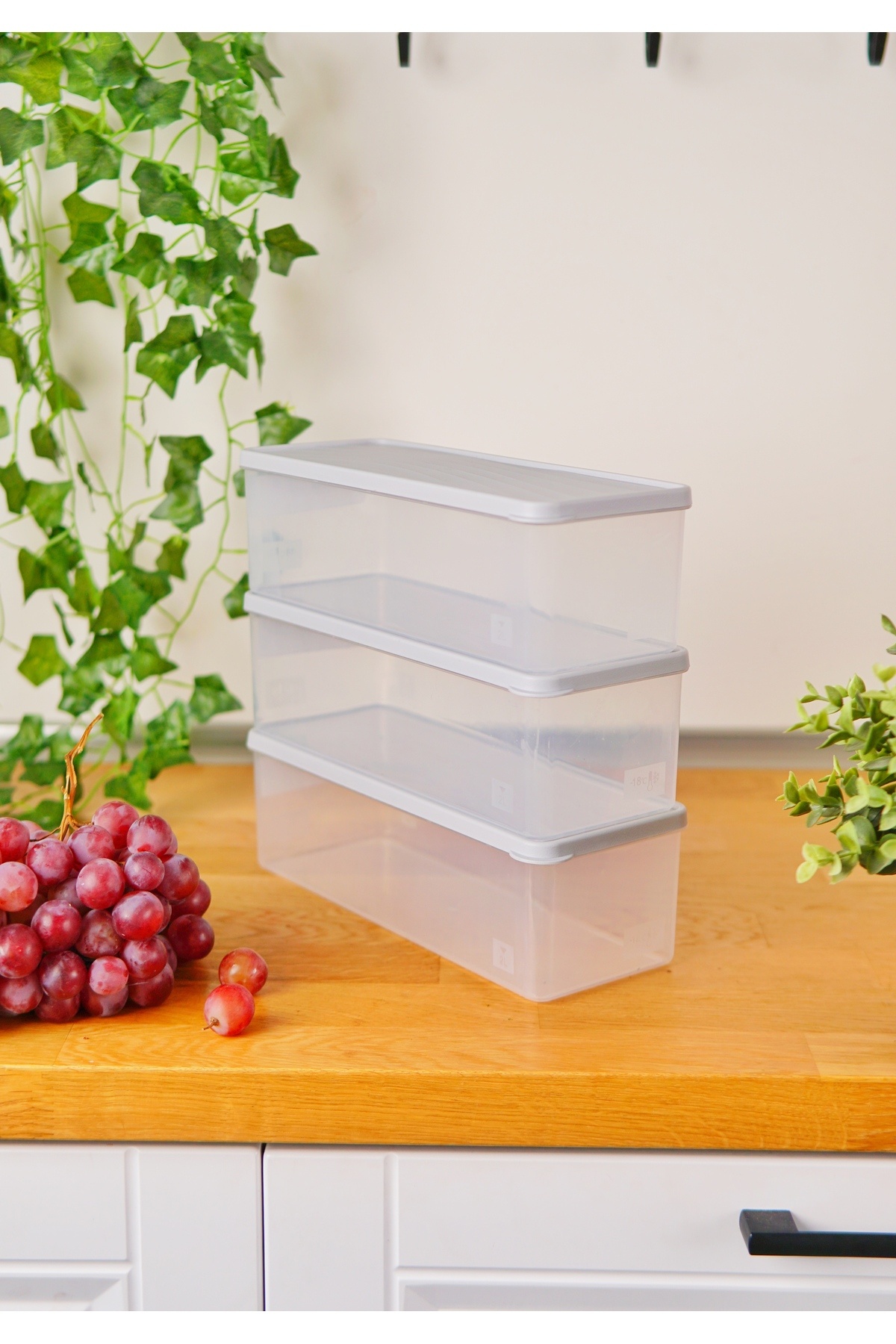 EVLE-Deep Freezer Storage Container Set of 3 (3 X 2 Lt), Gray 4