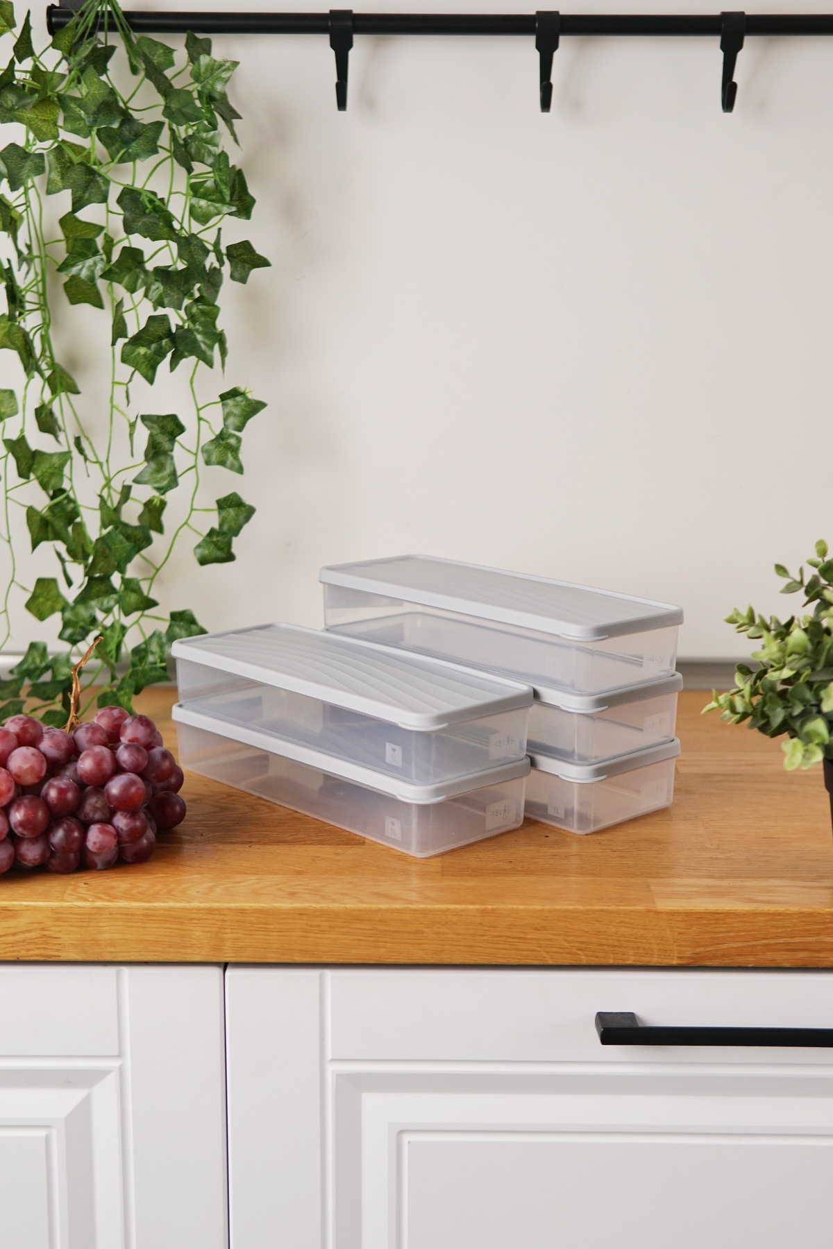 EVLE-Deep Freezer Storage Container Set of 5 (5 X 1 Lt), Gray 2