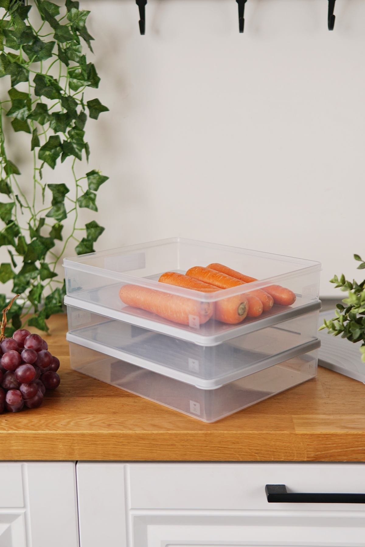 EVLE-Deep Freezer Storage Container Set of 3 (3 X 3 Lt), Gray 2