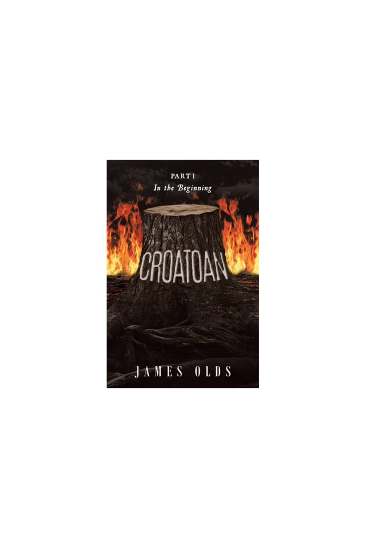 Authorcentrix Inc-Croatoan: Part I In the Beginning 1