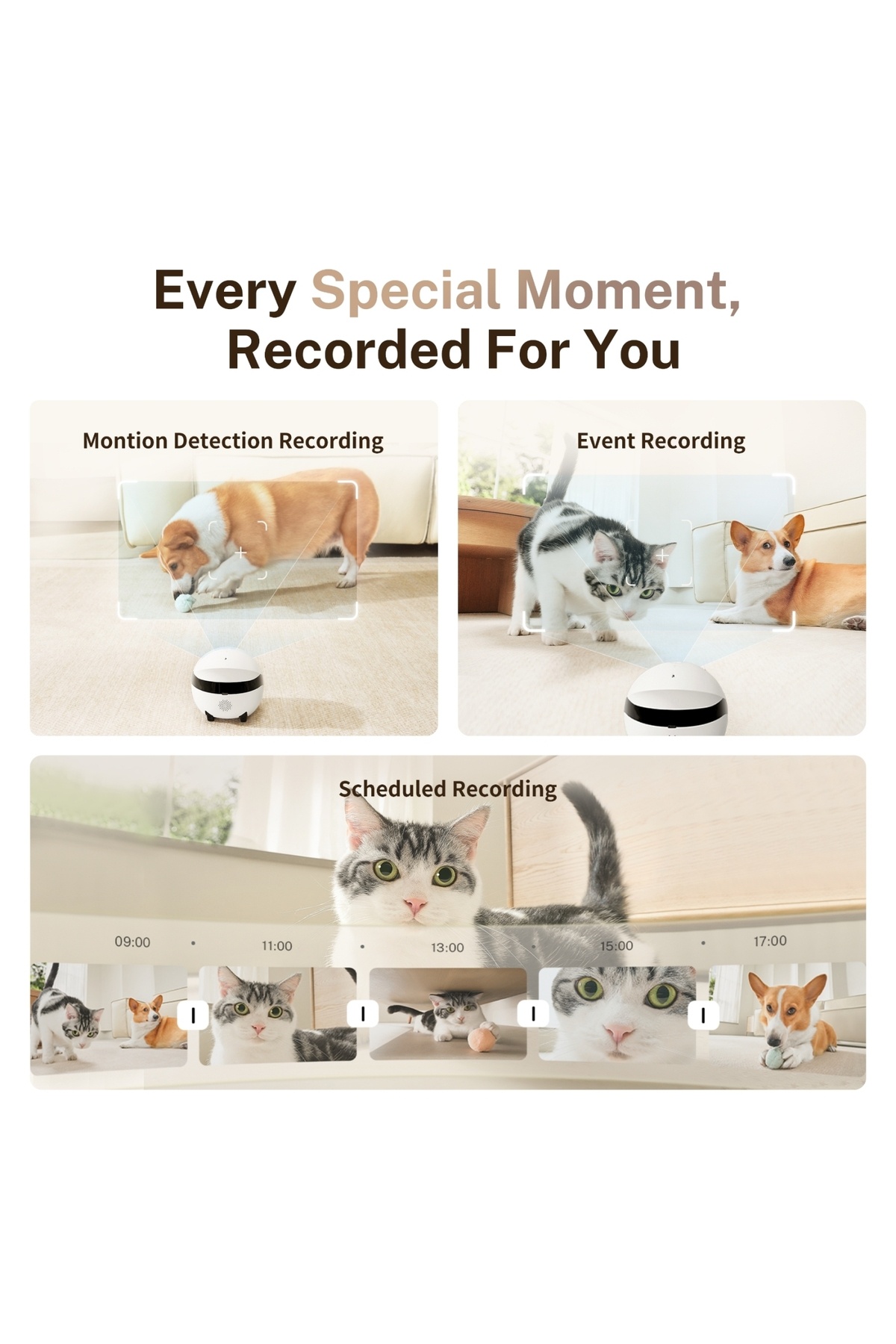 ROLA-Interactive Cat Toys,2K Interactive Mobile Pet Camera,Remote Real-Time Interaction,for Dogs & Cats 6