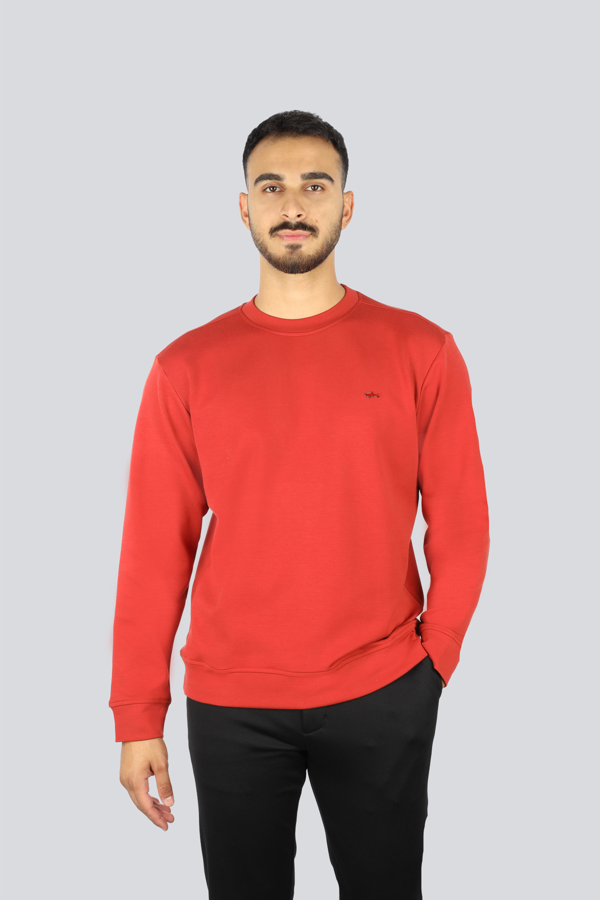 پال اند شارک سویشرت مردانه یقه گرد آستین بلند طرح لوگو متالیک نخی سایز معمولی کد ۱۵۳۱۱۸۶۴-۶۳۶