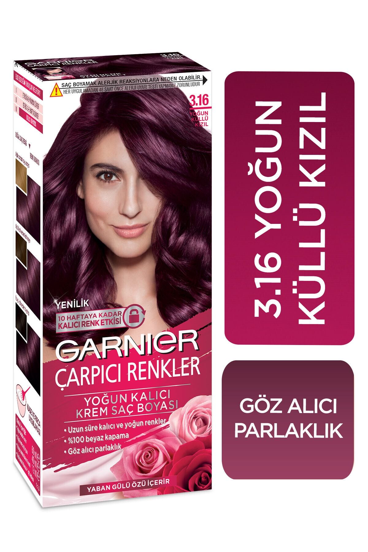 رنگ مو بادمجانی 3.16 گارنیر Garnier