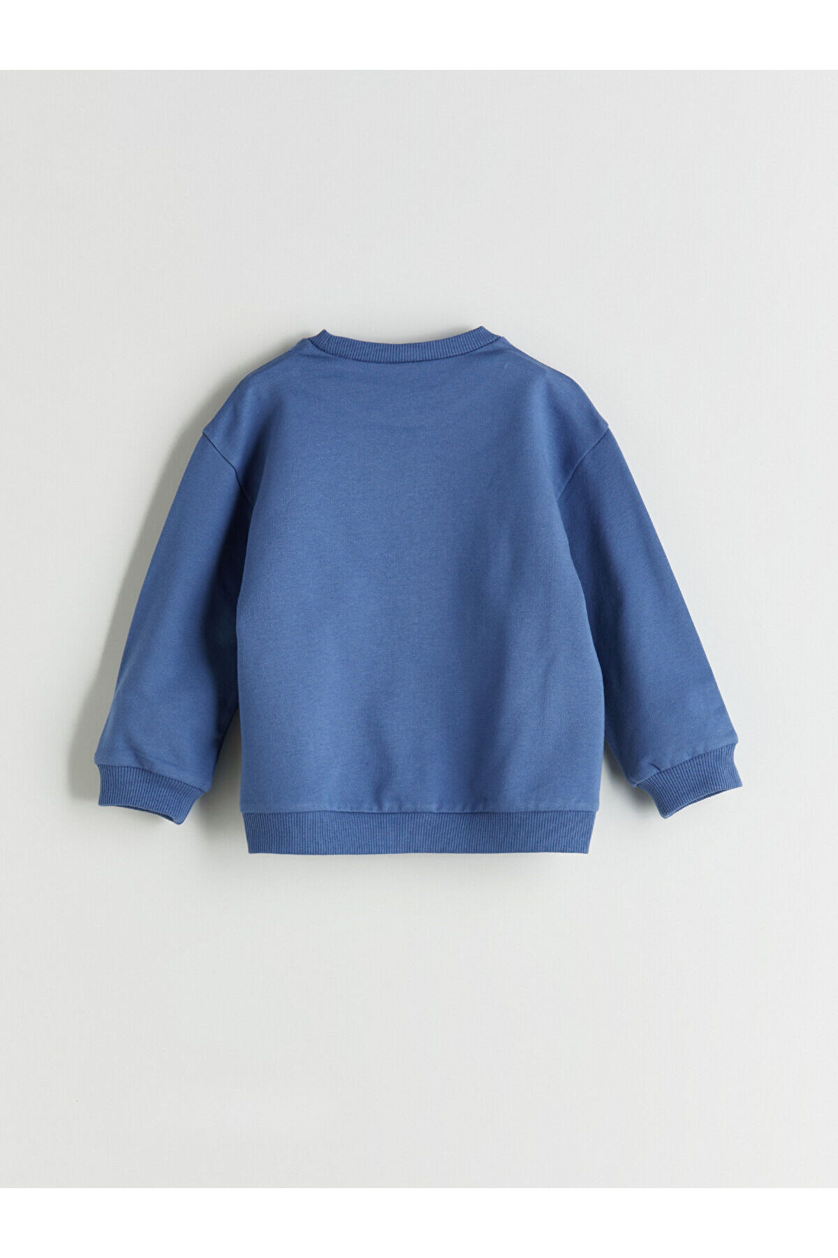 LC Waikiki Bisiklet Yaka Basic Erkek Bebek Sweatshirt fotoğrafı 4 (önizleme)