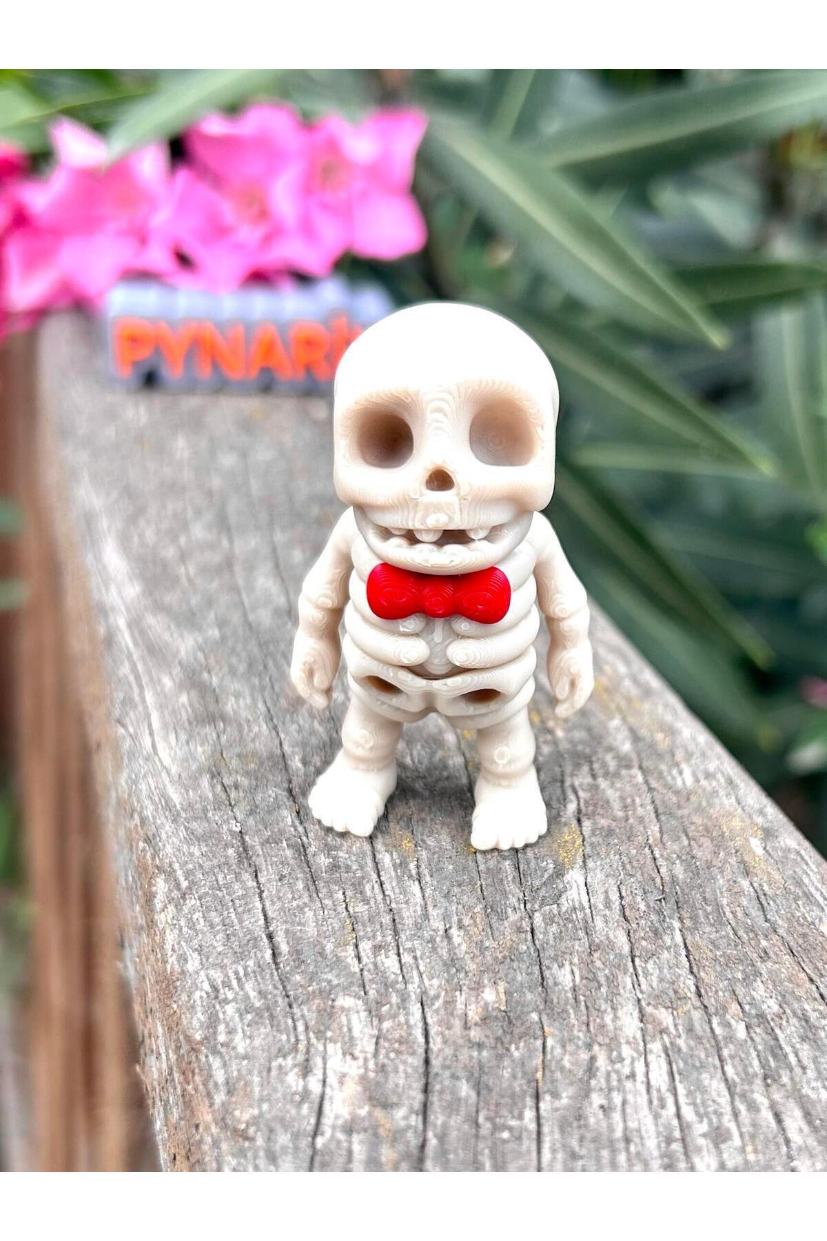 pynarix-Centilmen Skeleton Toy Mr. Bone Is Coming Out of the Box! 💀 🎩 3D Movable Organic Model - Medium Size 1
