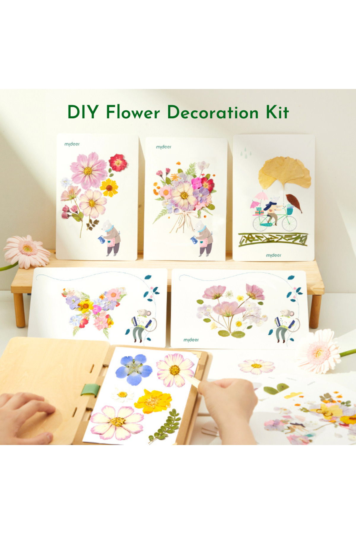 کیت کشف هنر طبیعت