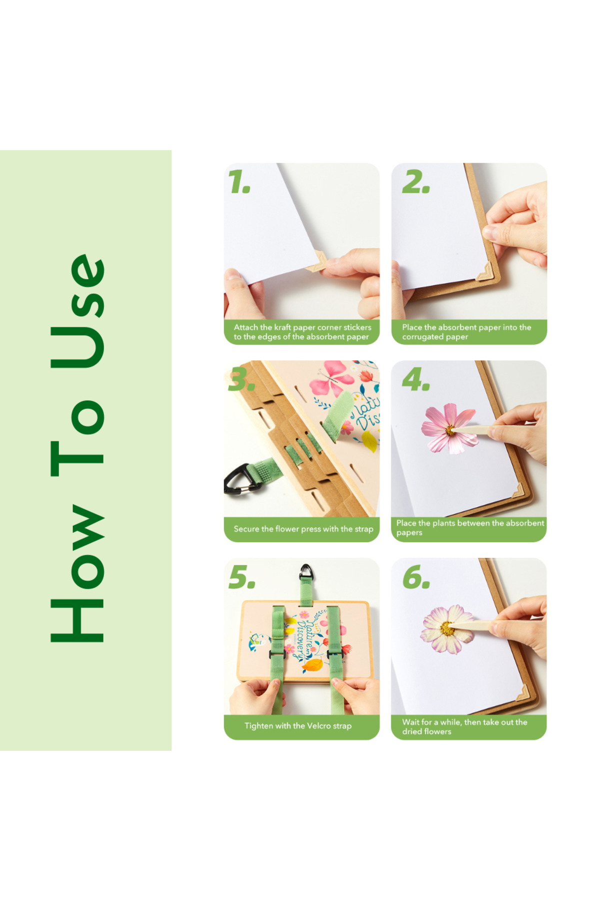 کیت کشف هنر طبیعت