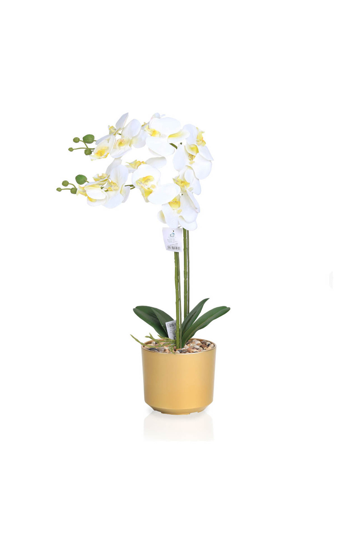 co arma-Artificial orchid tree simulating a natural orchid tree with 2 branches and a plastic pot, 70 cm high 1