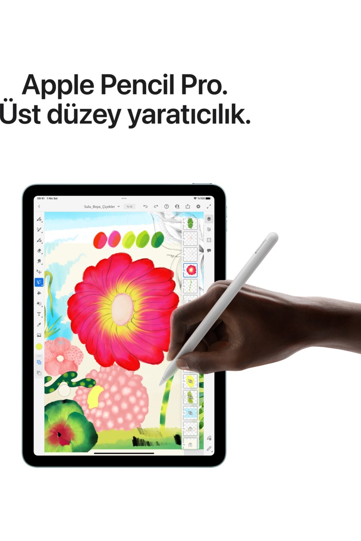 Apple 13