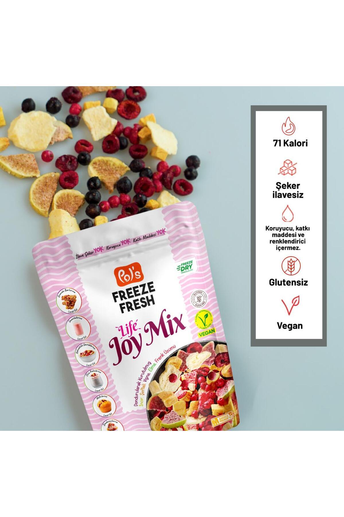 Pol's Freeze Fresh Dondurularak Kurutulmuş Joy Mix 20 g