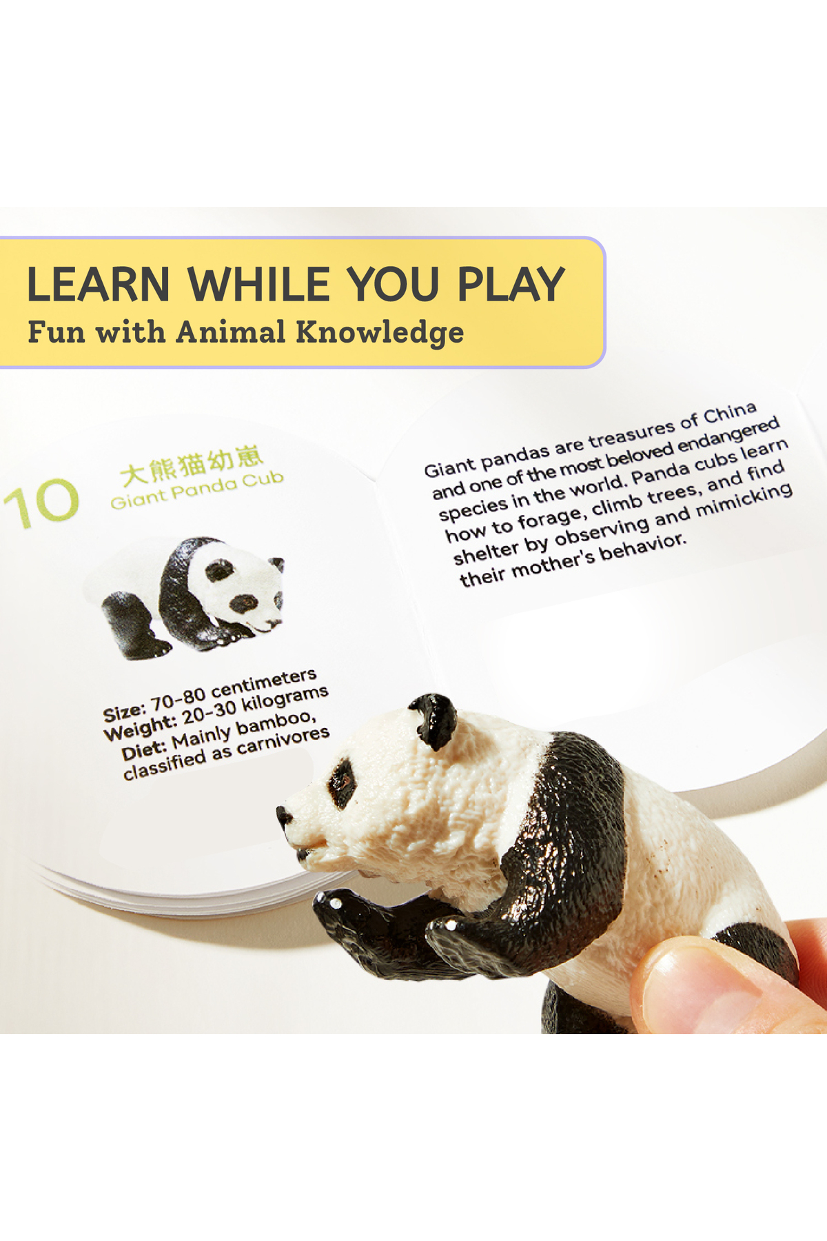 مجموعه حیوانات سفاری – ۱۲ عددی