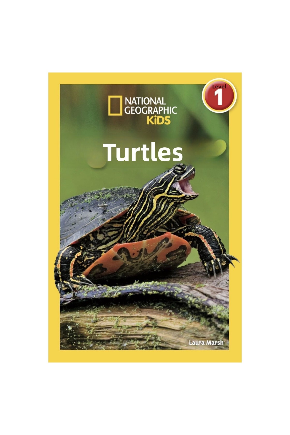 ناشنال جئوگرافیک بچه‌ها لاک‌پشت‌ها