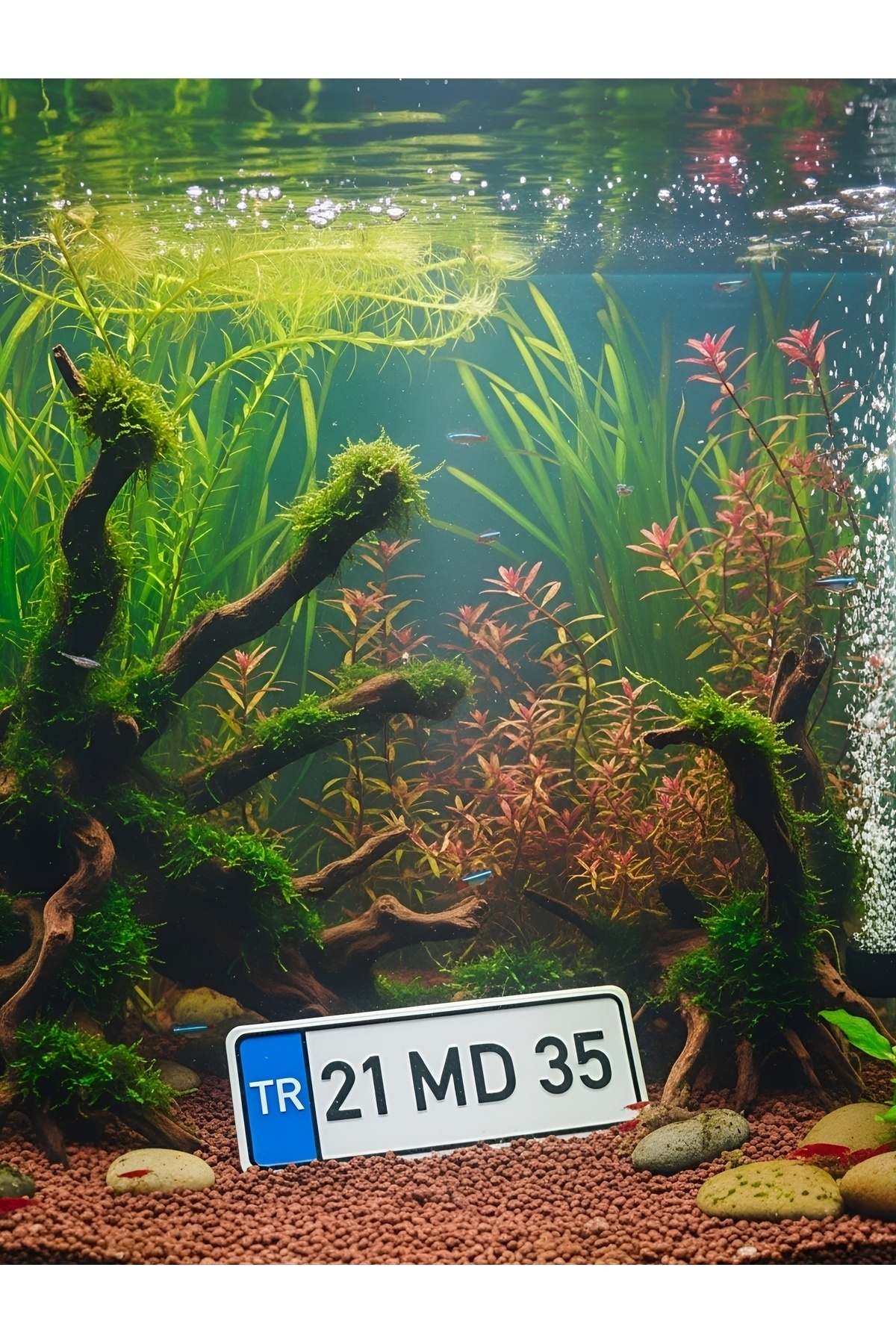 MDİZMİR Akvaryum İçin Plaka Dekoru ( Mutlaka PLAKA Yazınız ) Mini Akvaryum , Büyük Akvaryum Uygn