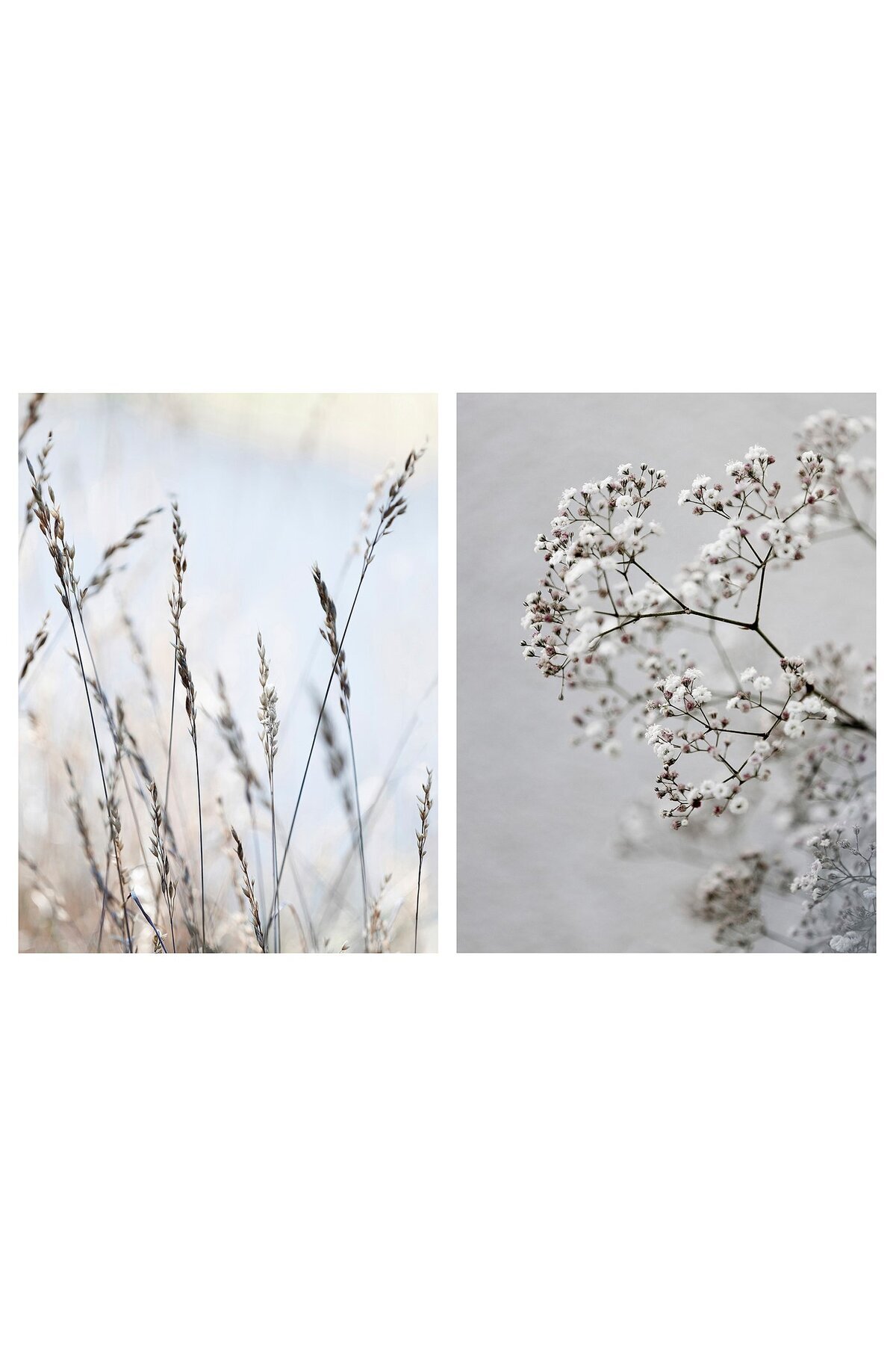 IKEA-PJÄTTERYD Picture, set of 2, meadow grass, 30 x 40 cm 1