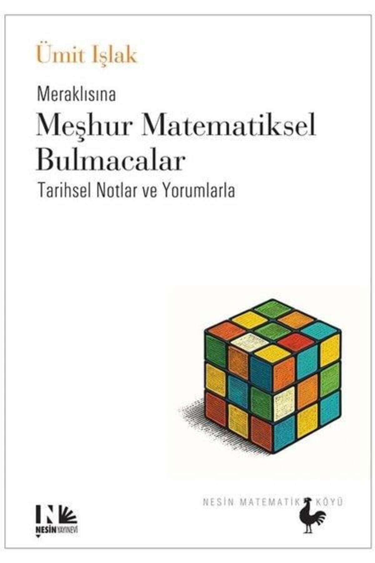 Nesin Yayınevi Meraklısına Meşhur Matematiksel Bulmacalar - Tarihsel Notlar ve Yorumlarla