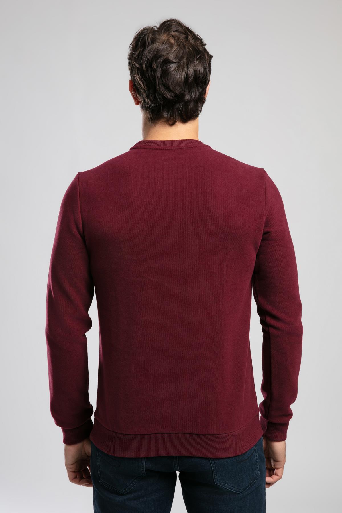 سویشرت مردانه رنگارنگ آستین بلند | لی کوپر Lee Cooper 261 LCM 241063 - تصویر 2