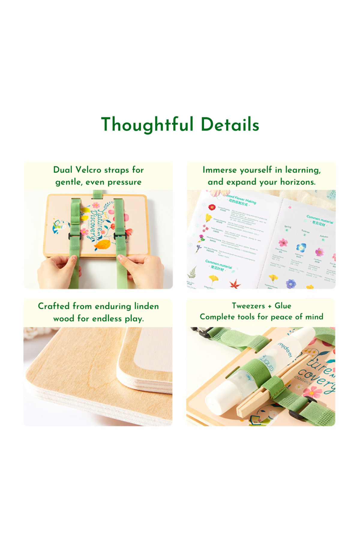 کیت کشف هنر طبیعت