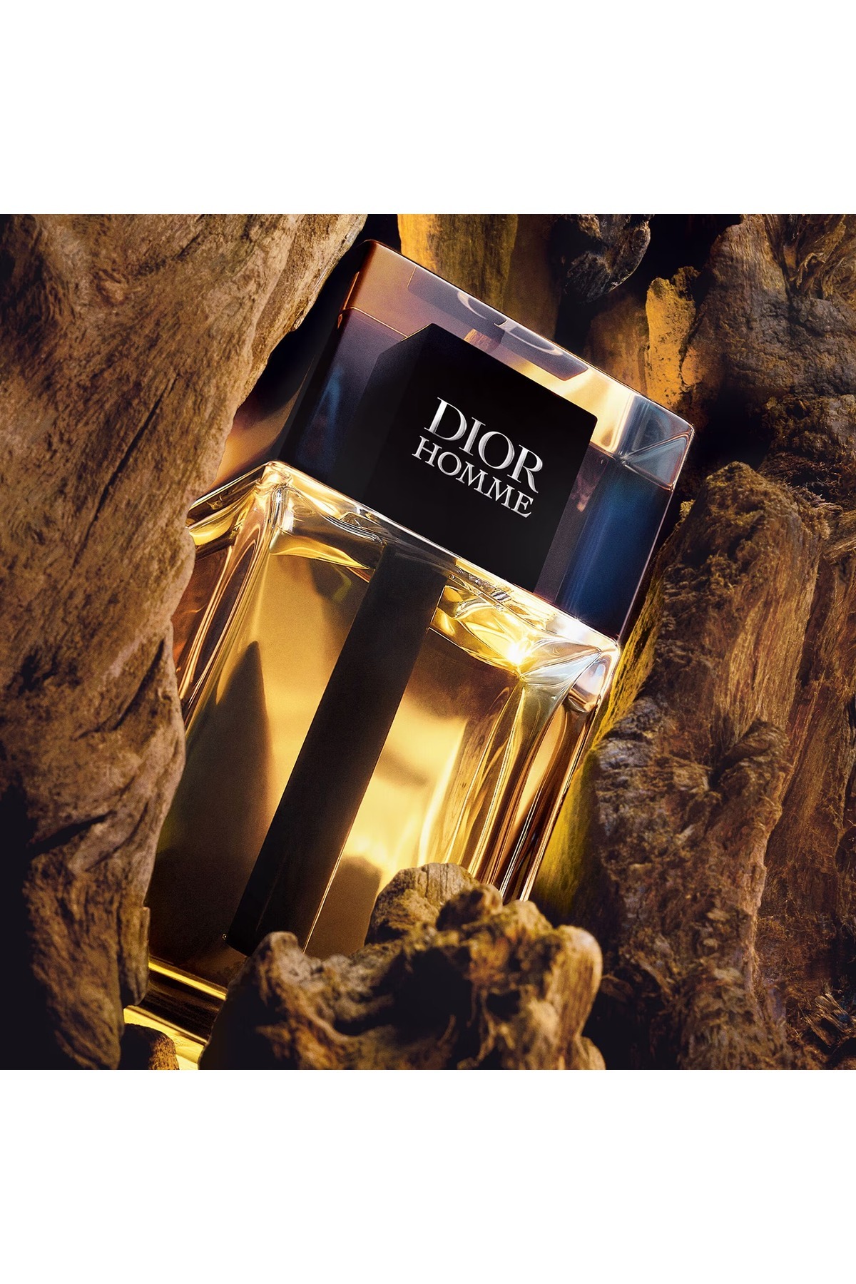 Dior Homme EDT 100ML Erkek Parfüm - Fiyatı, Yorumları