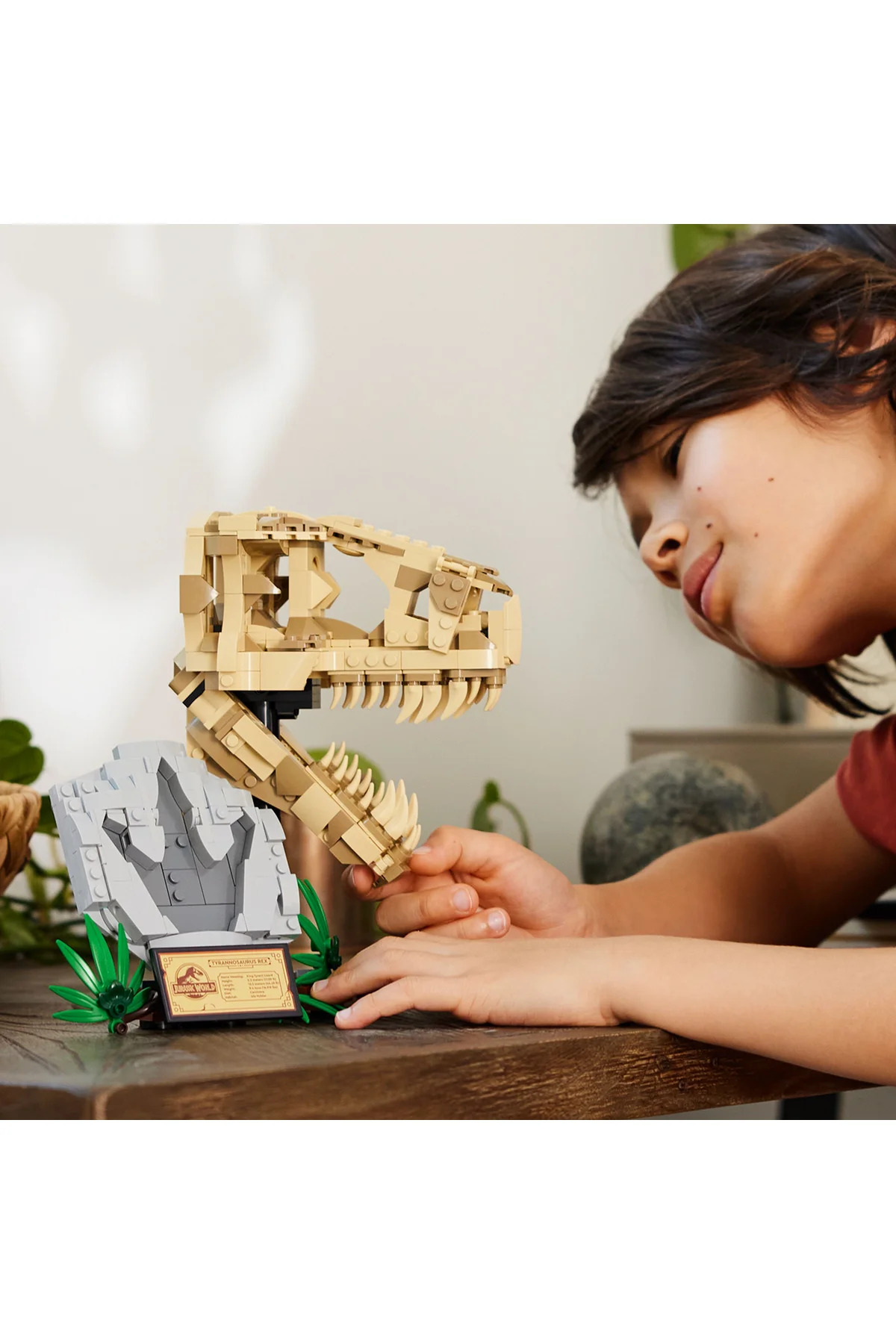 ® فسیل‌های دایناسور جوراسیک ورلد: مجموعه ساختنی جمجمه تی. رکس ۷۶۹۶۴ برای کودکان ۹ سال به بالا (۵۷۷ قطعه)