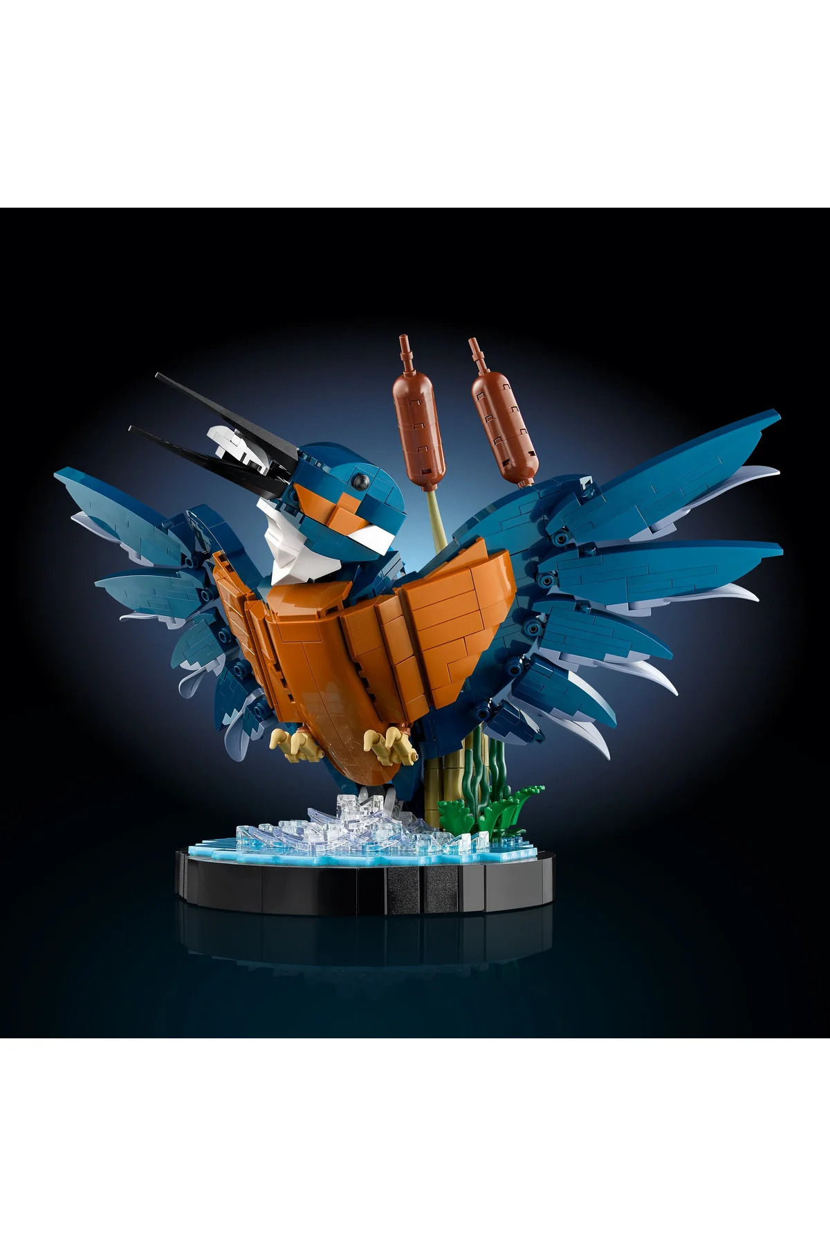 ® آیکونز کینگفیشر مجموعه ساختنی پرنده ۱۰۳۳۱