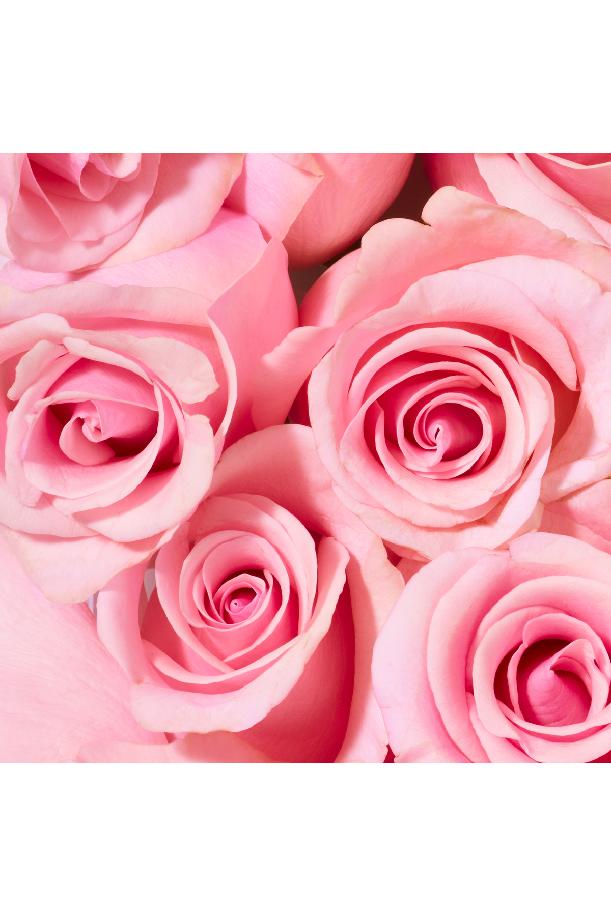 ژل و کرم دوش زنانه  Nuxe | 10003412 اورجینال - تصویر 4