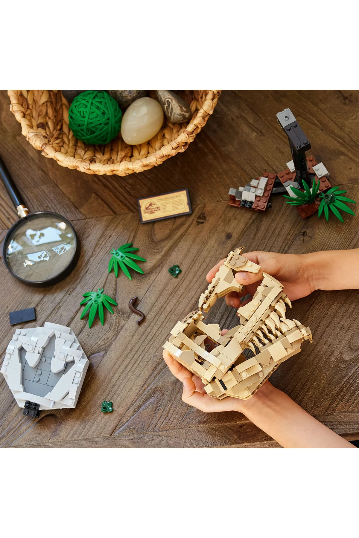 ® فسیل‌های دایناسور جوراسیک ورلد: مجموعه ساختنی جمجمه تی. رکس ۷۶۹۶۴ برای کودکان ۹ سال به بالا (۵۷۷ قطعه)