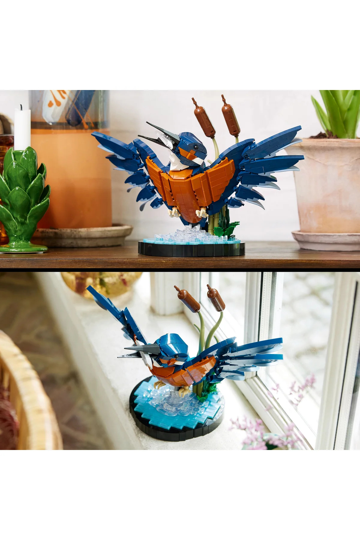 ® آیکونز کینگفیشر مجموعه ساختنی پرنده ۱۰۳۳۱