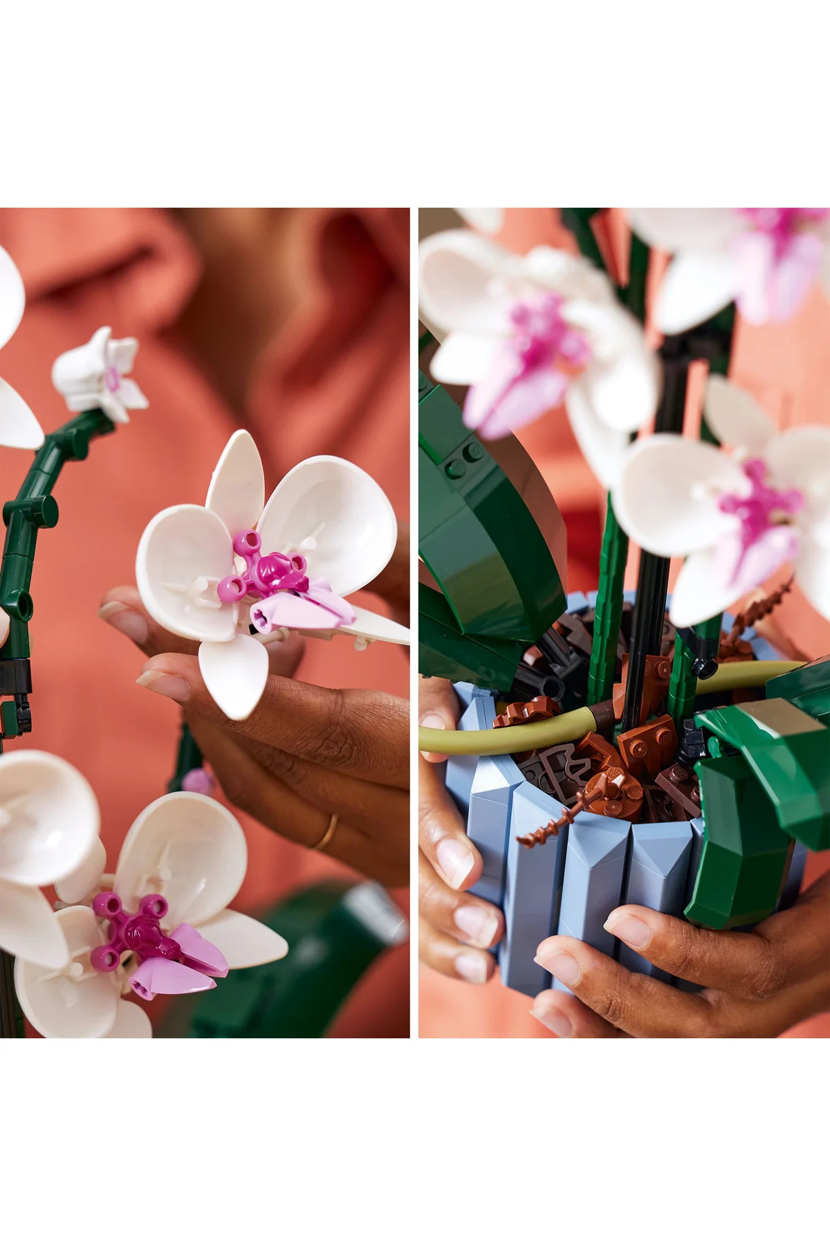 ® بوتانیکالز مجموعه ساختنی گیاه مصنوعی ارکیده ۱۰۳۱۱ برای بزرگسالان (۶۰۸ قطعه)