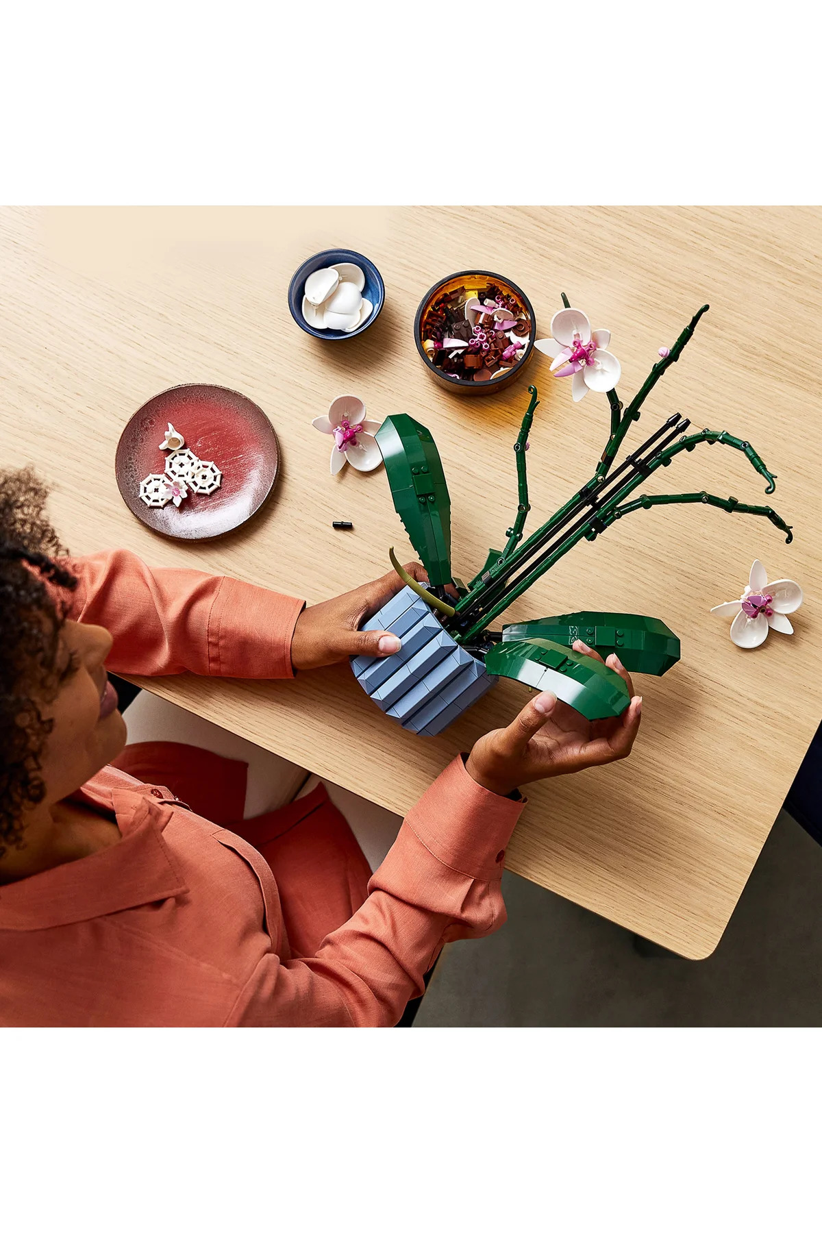 ® بوتانیکالز مجموعه ساختنی گیاه مصنوعی ارکیده ۱۰۳۱۱ برای بزرگسالان (۶۰۸ قطعه)