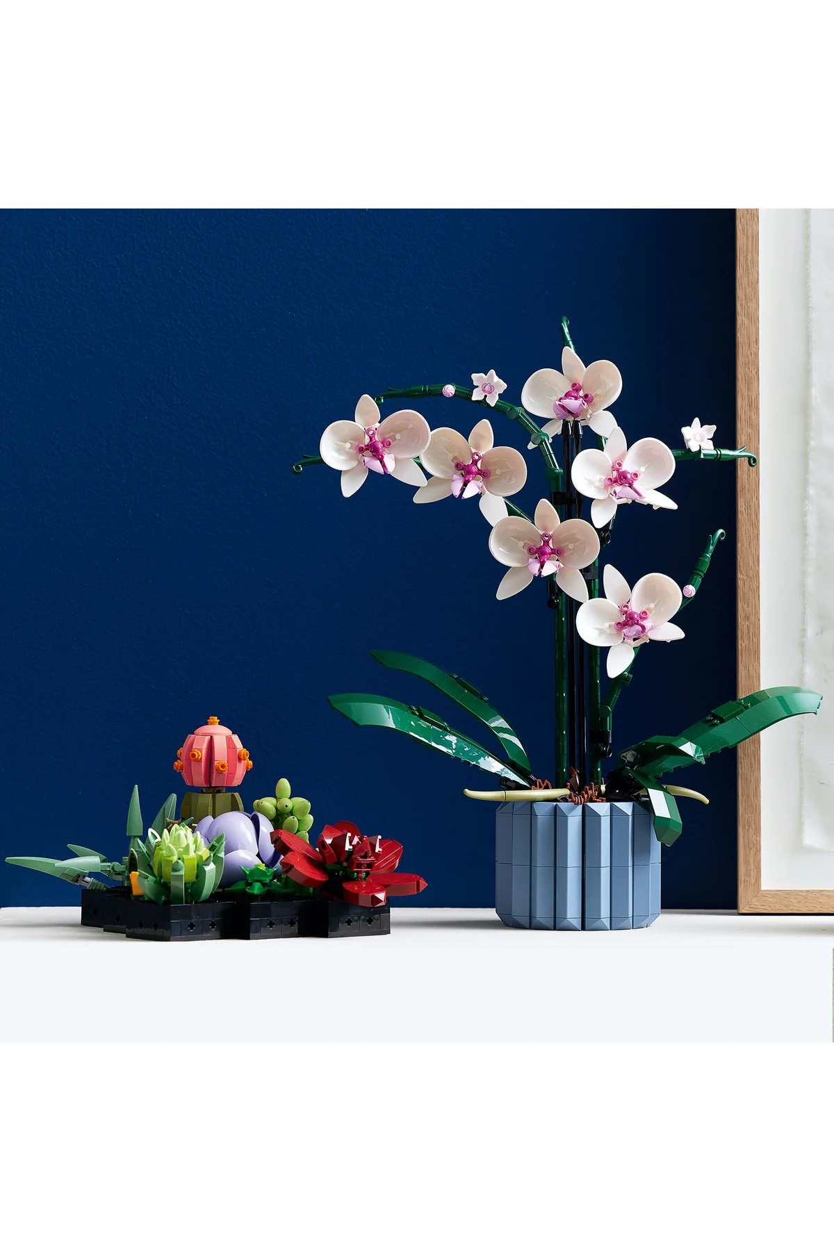 ® بوتانیکالز مجموعه ساختنی گیاه مصنوعی ارکیده ۱۰۳۱۱ برای بزرگسالان (۶۰۸ قطعه)