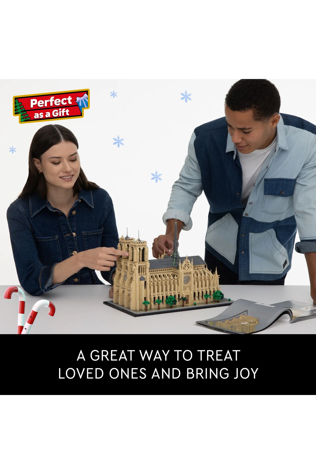 ® مجموعه معماری نوتردام دو پاریس ۲۱۰۶۱