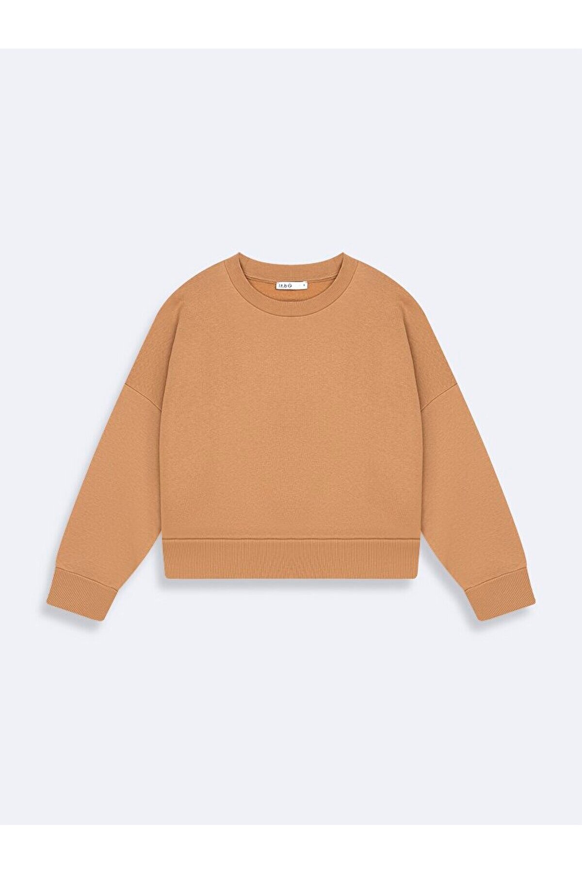 Ltb  Kahve Rengi Sweatshırt - Görsel 2