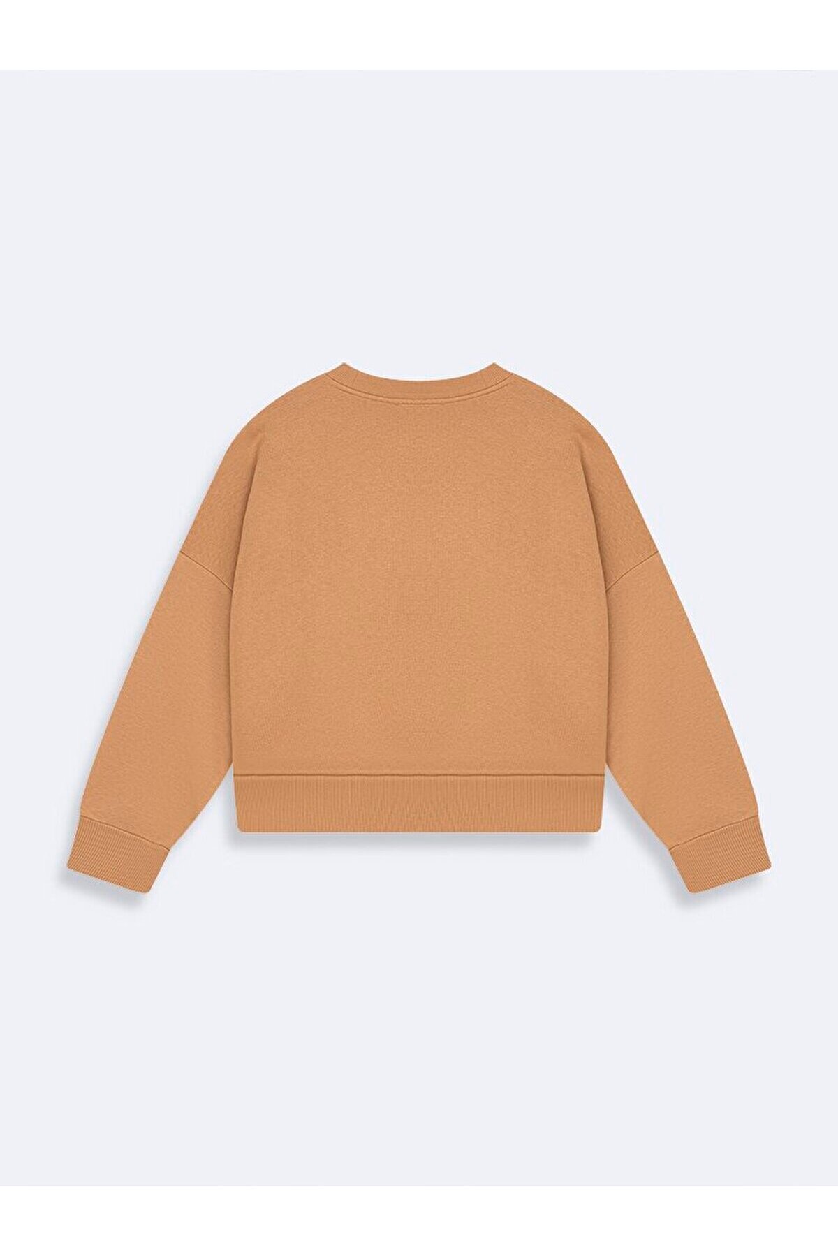 Ltb  Kahve Rengi Sweatshırt - Görsel 3