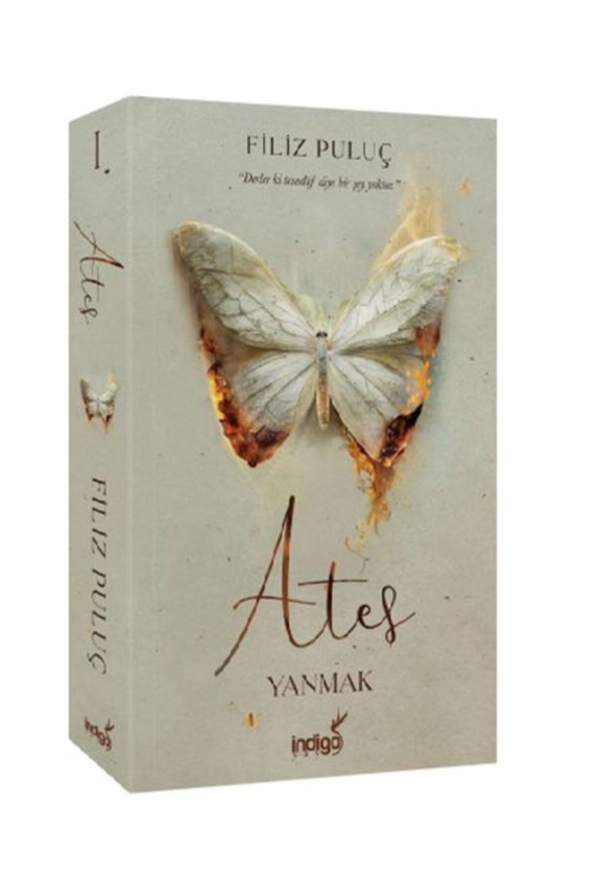 İndigo Kitap Ateş – Yanmak