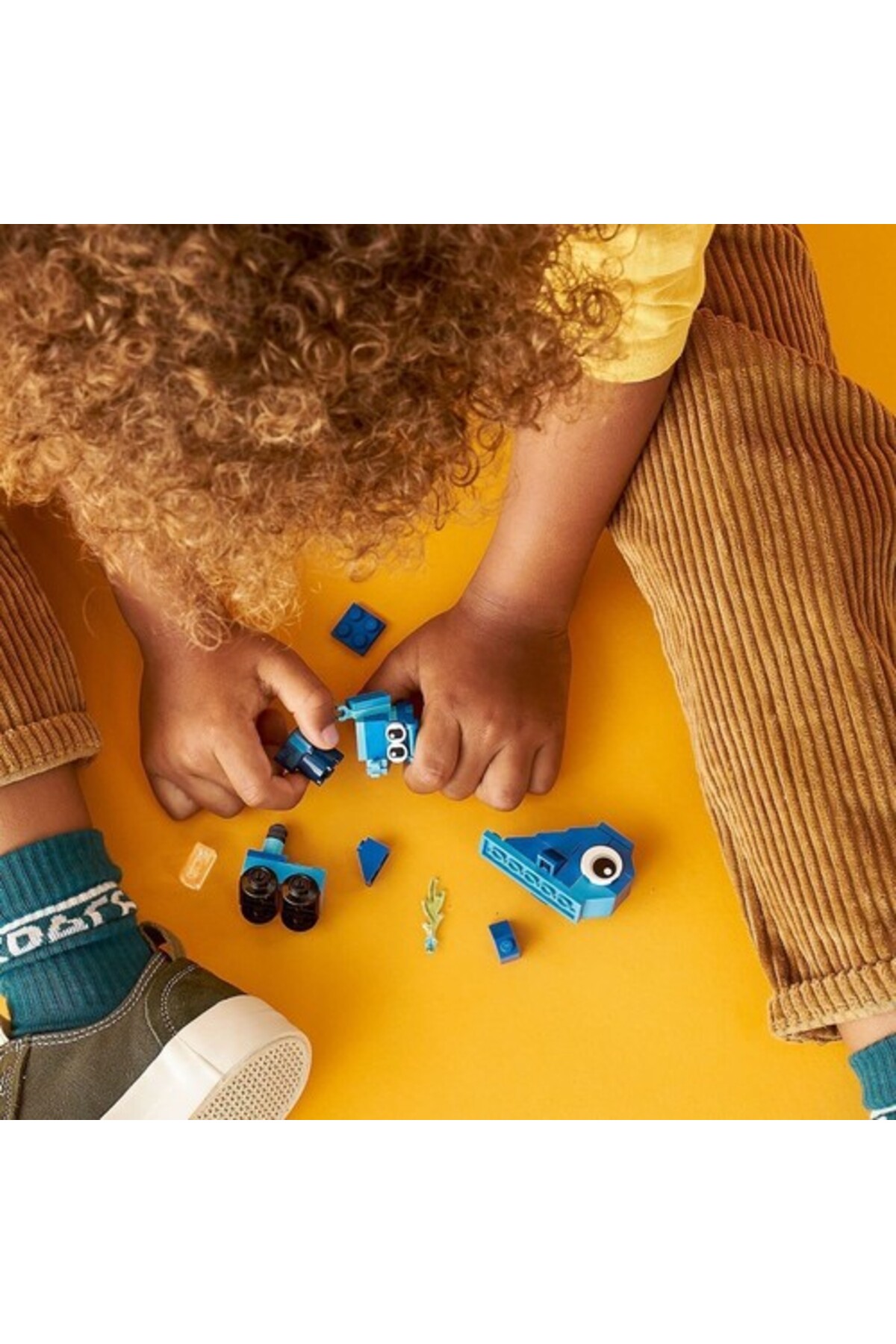 آجرهای آبی کلاسیک، سن ۴ سال