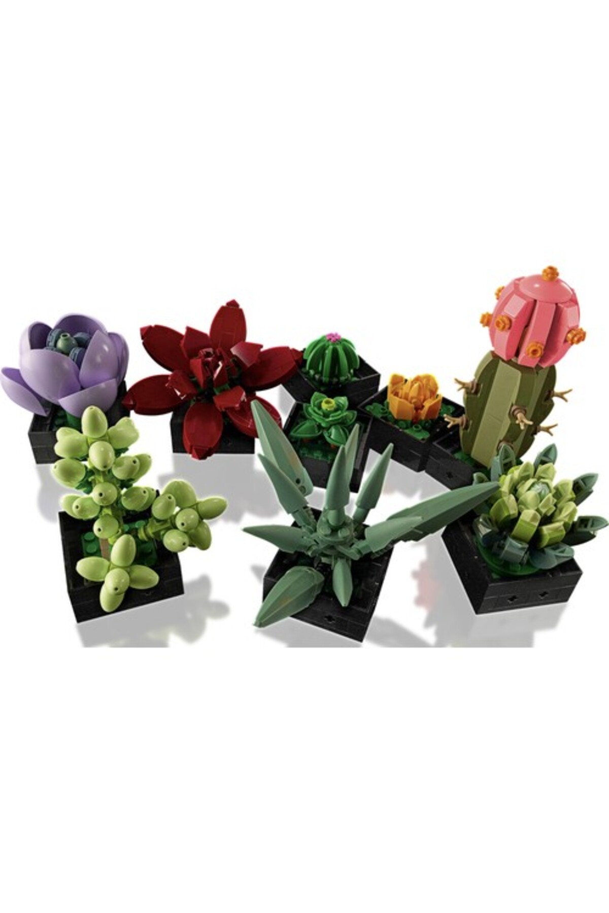 LEGO Creator Expert 10309 Succulents fotoğrafı 3 (önizleme)